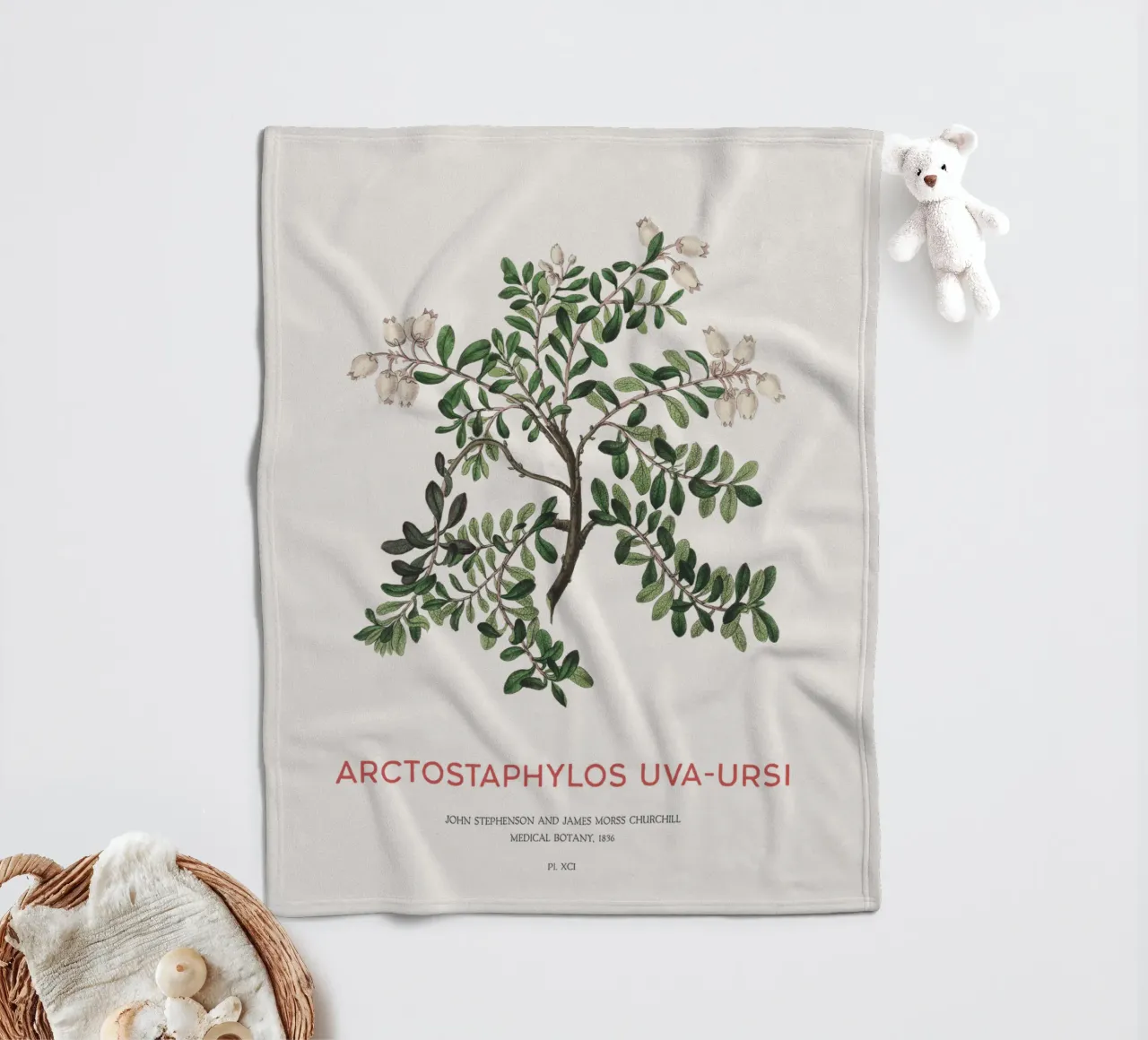 Uva ursina o Arctostaphylos Uva-ursi coperta in pile da Vintagrafica