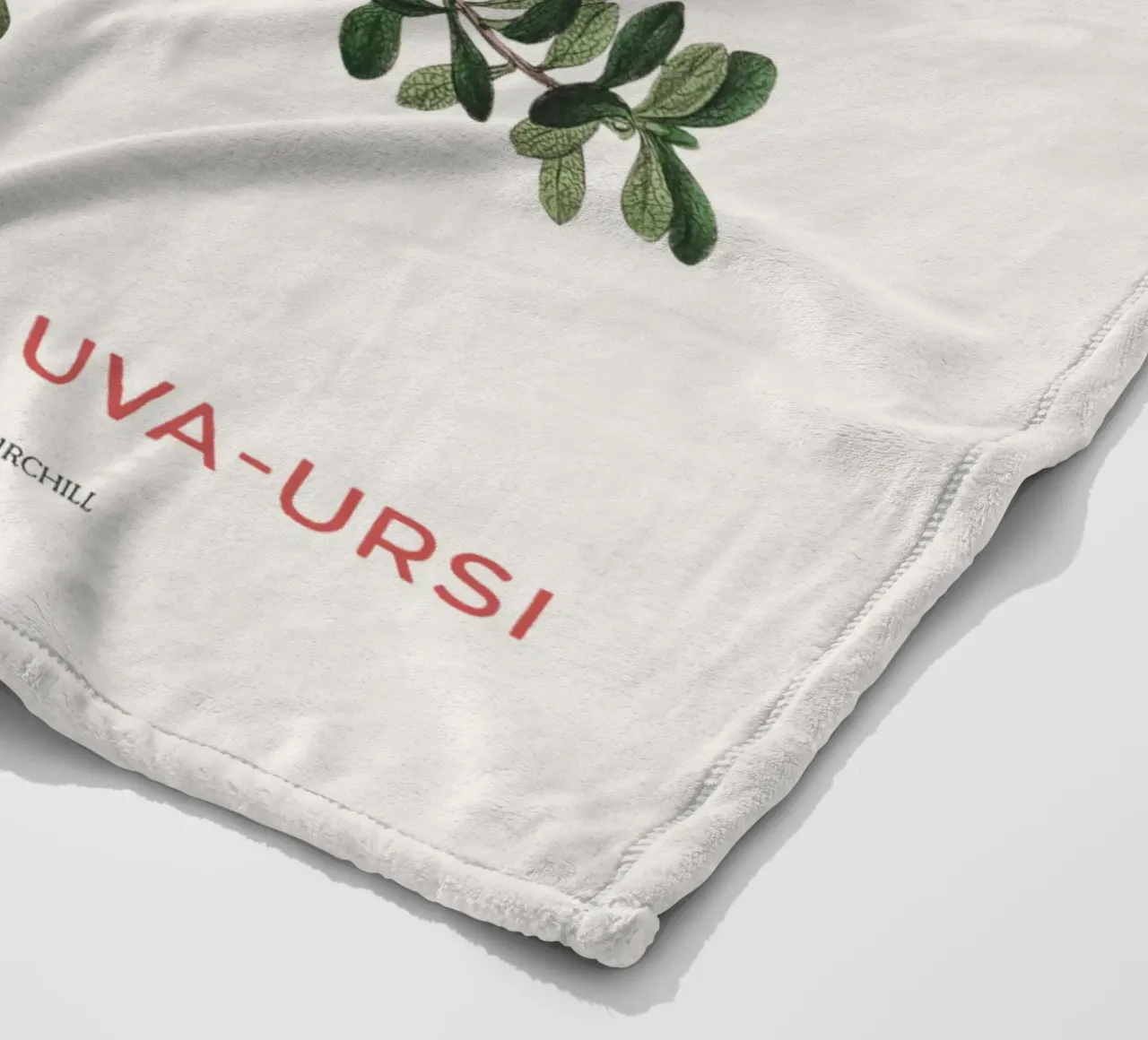 Uva ursina o Arctostaphylos Uva-ursi coperta in pile da Vintagrafica