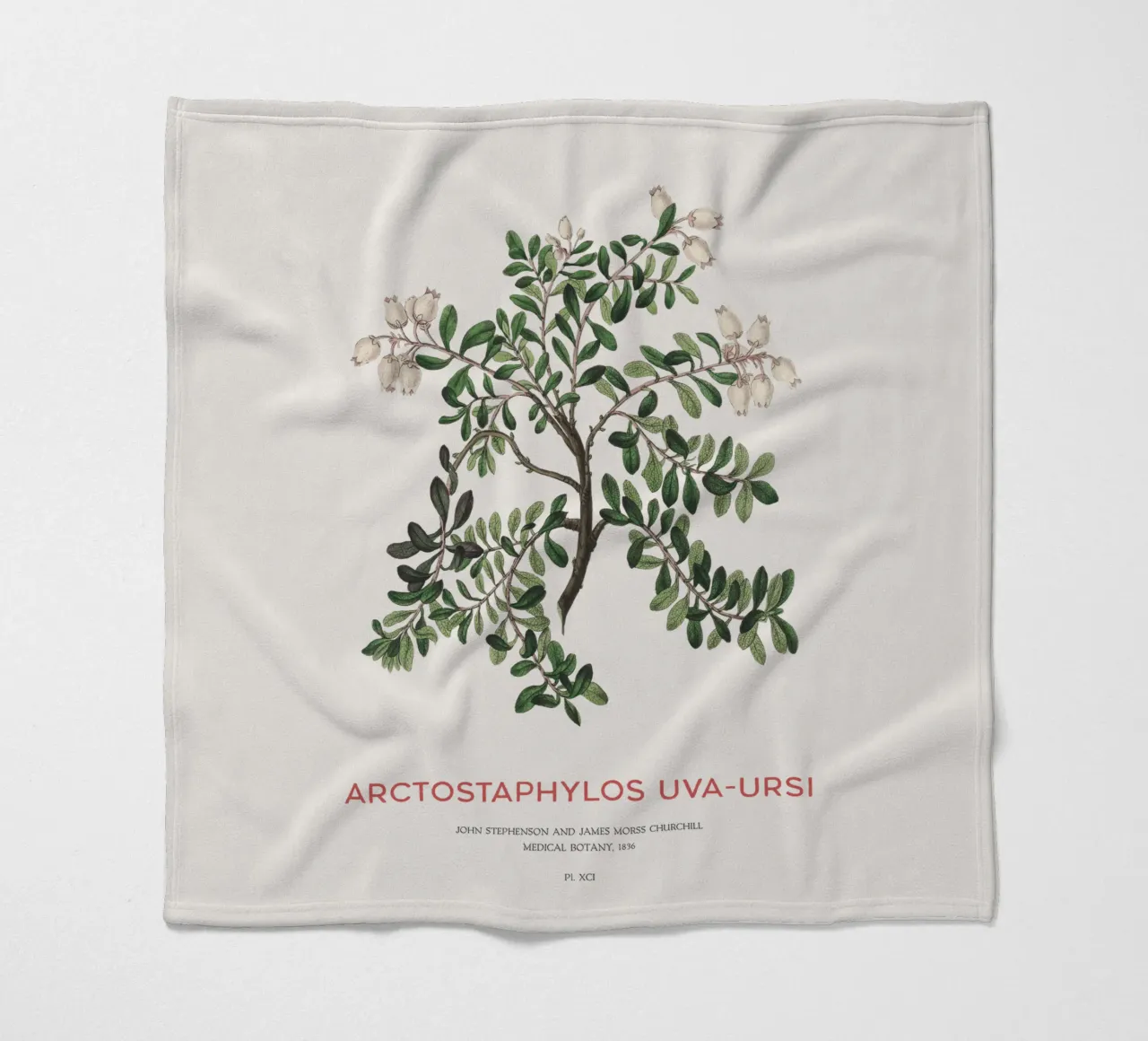 Bärentraube oder Arctostaphylos Uva-ursi Fleecedecke von Vintagrafica