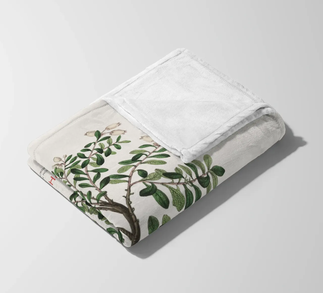 Uva ursina o Arctostaphylos Uva-ursi coperta in pile da Vintagrafica