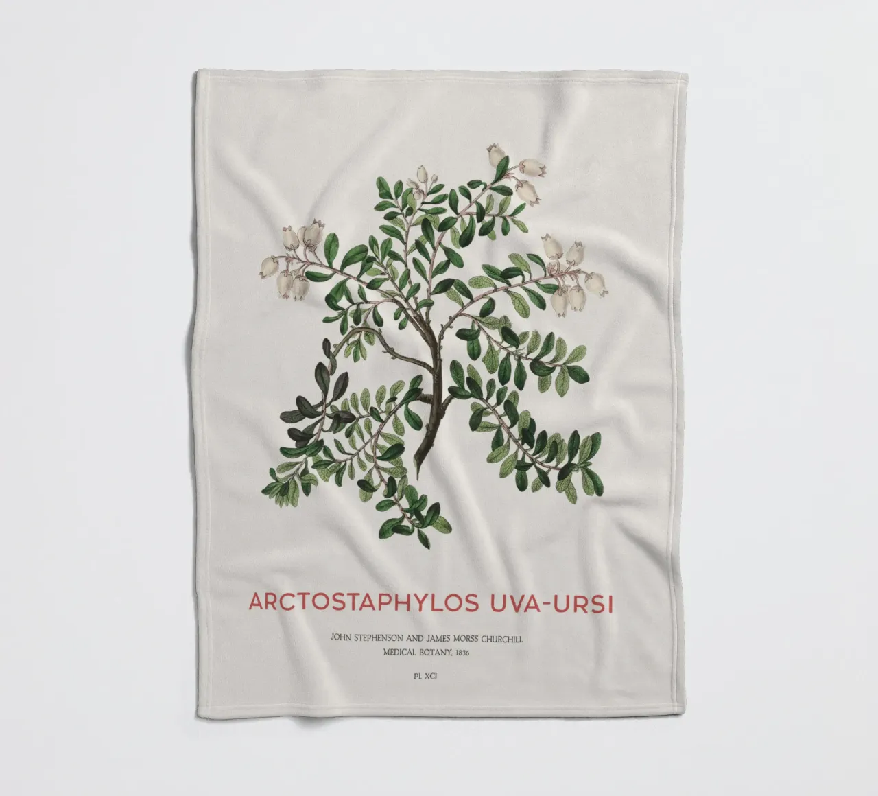 Bärentraube oder Arctostaphylos Uva-ursi Fleecedecke von Vintagrafica