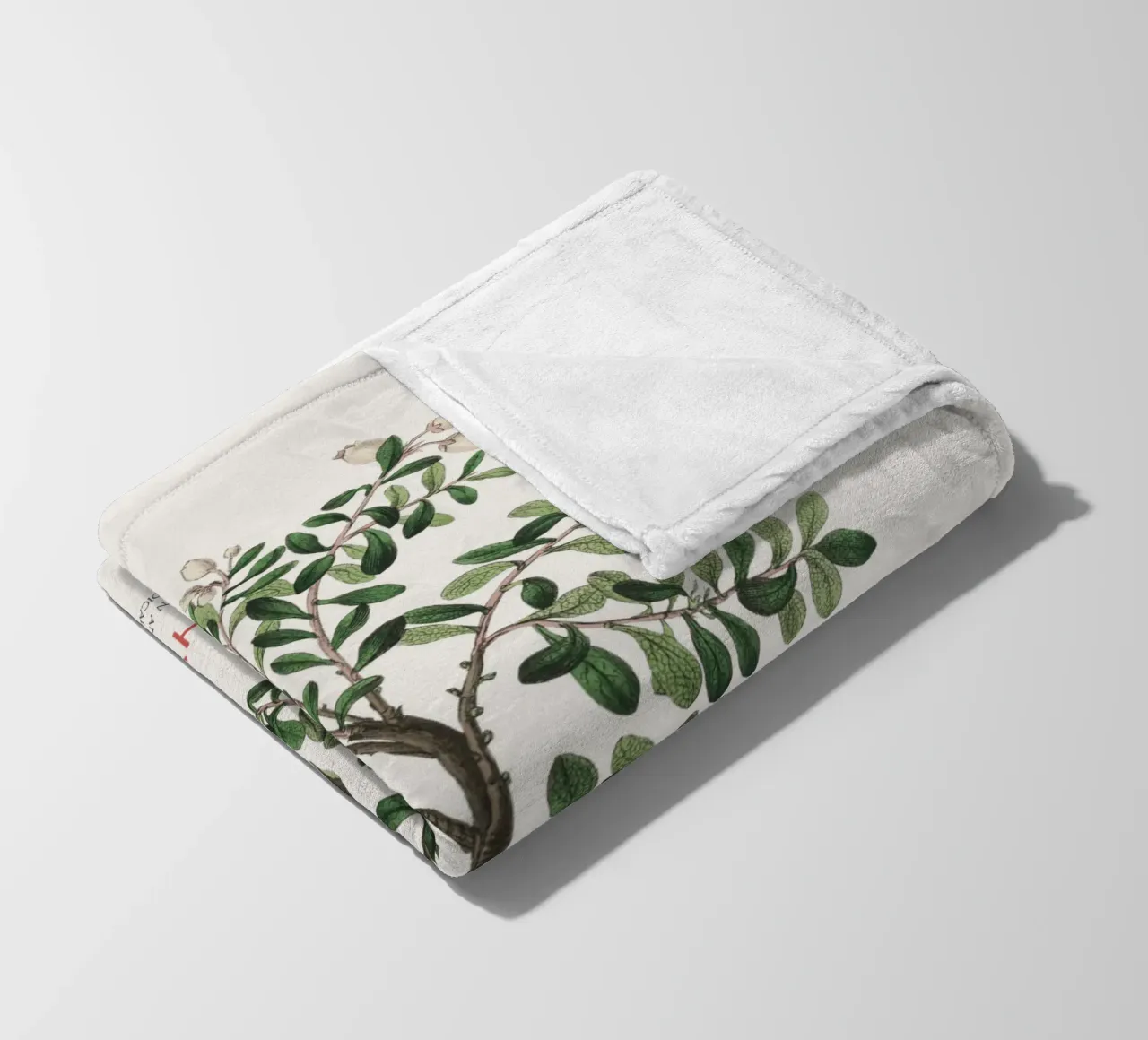 Bärentraube oder Arctostaphylos Uva-ursi Fleecedecke von Vintagrafica