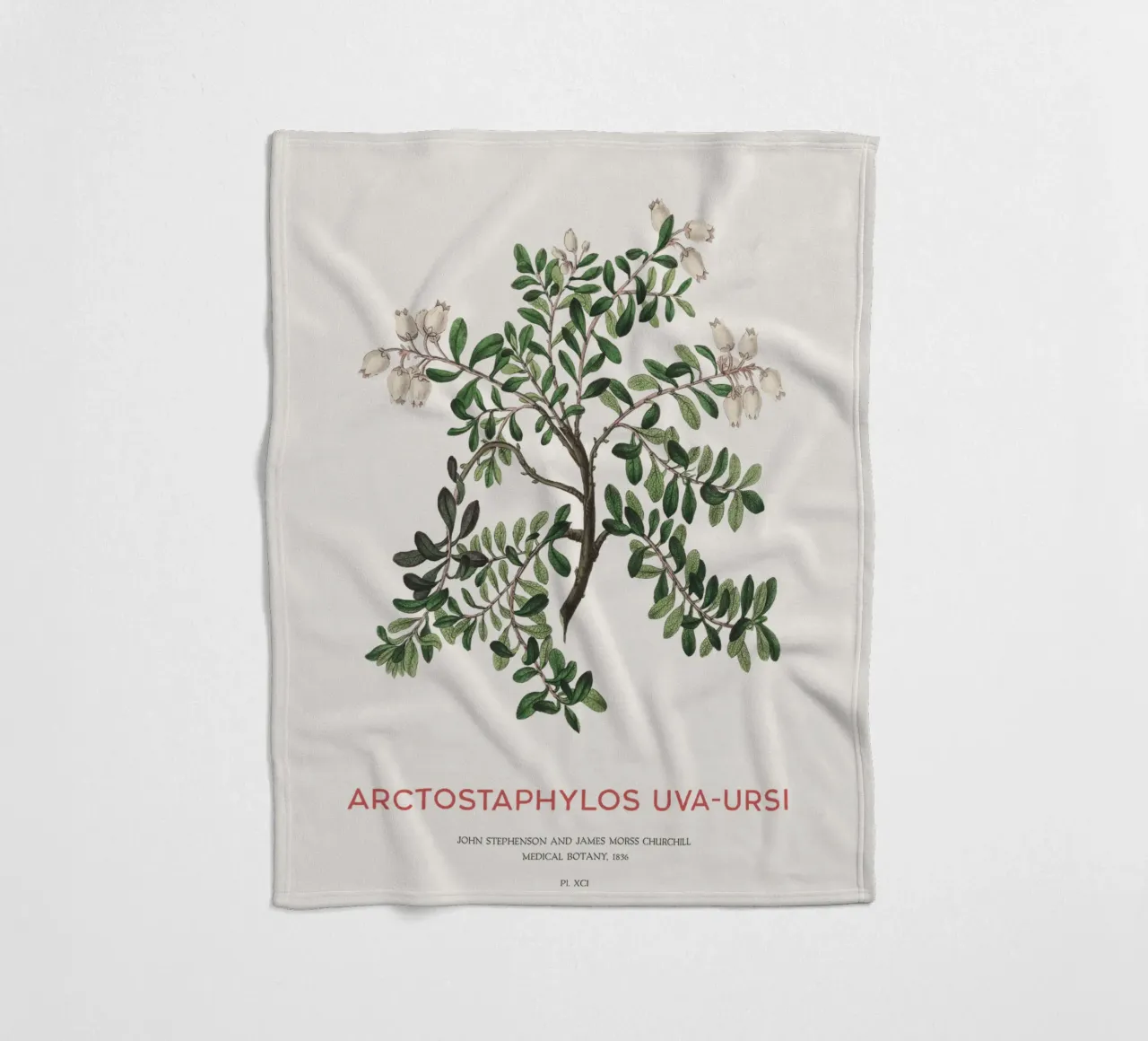 Uva ursina o Arctostaphylos Uva-ursi coperta in pile da Vintagrafica