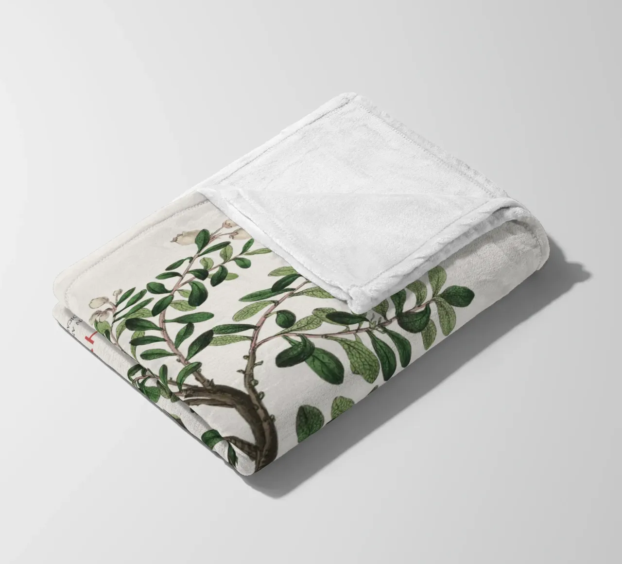 Uva ursina o Arctostaphylos Uva-ursi coperta in pile da Vintagrafica