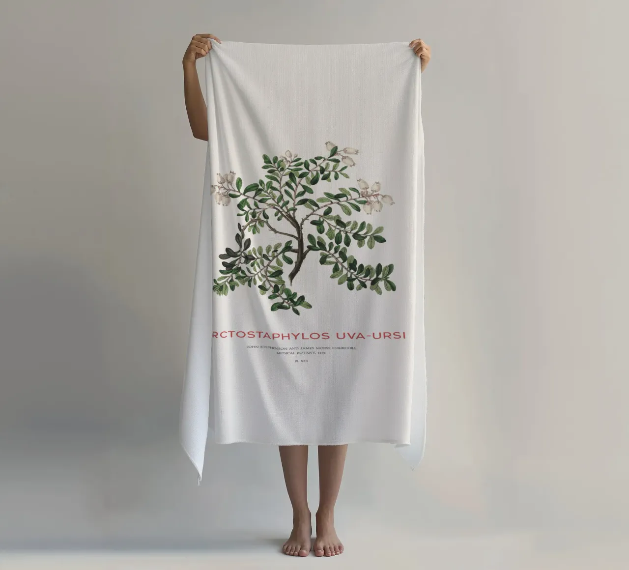 Bearberry or Arctostaphylos Uva-ursi beach towel by Vintagrafica