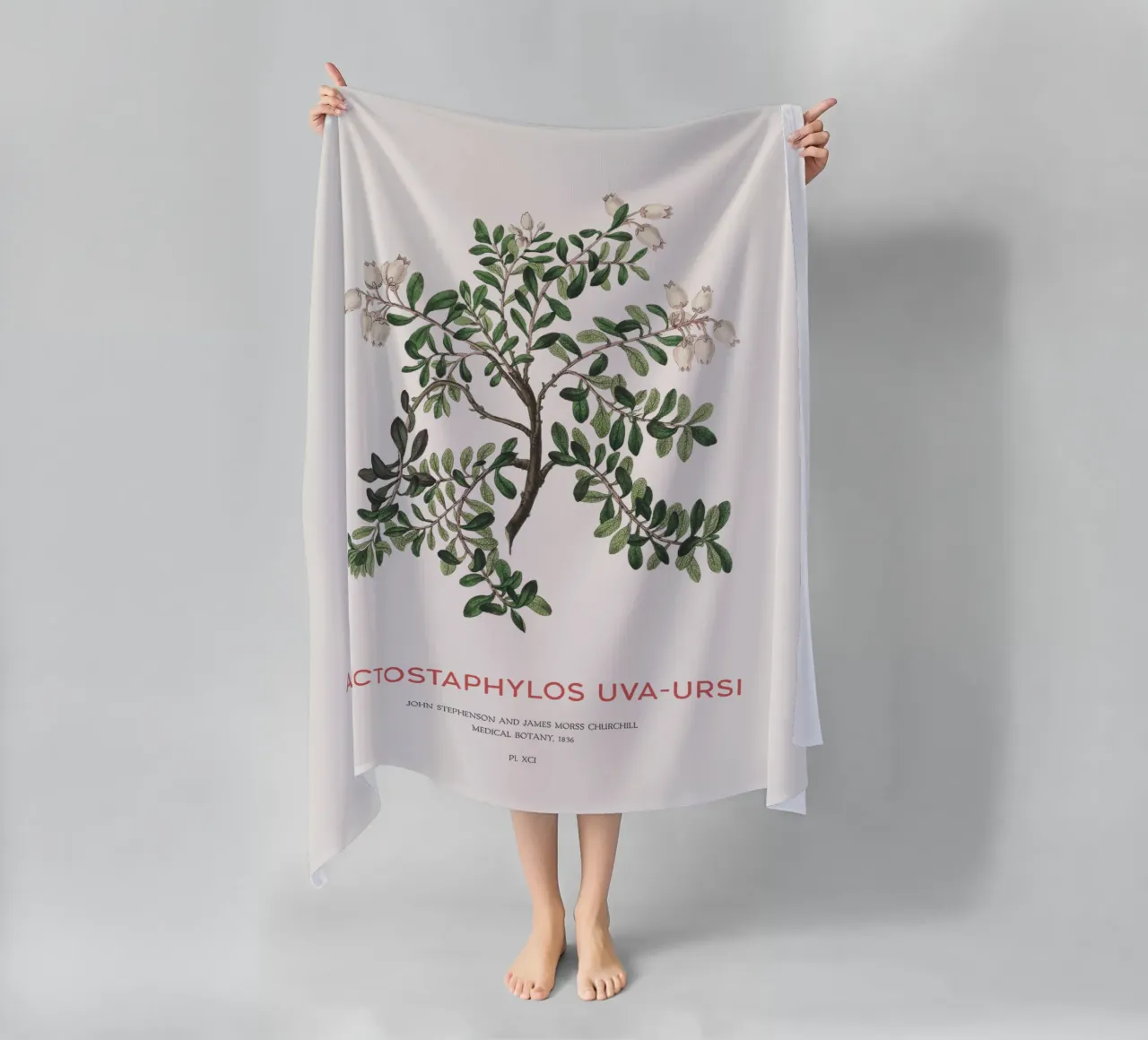 Bearberry or Arctostaphylos Uva-ursi beach towel by Vintagrafica