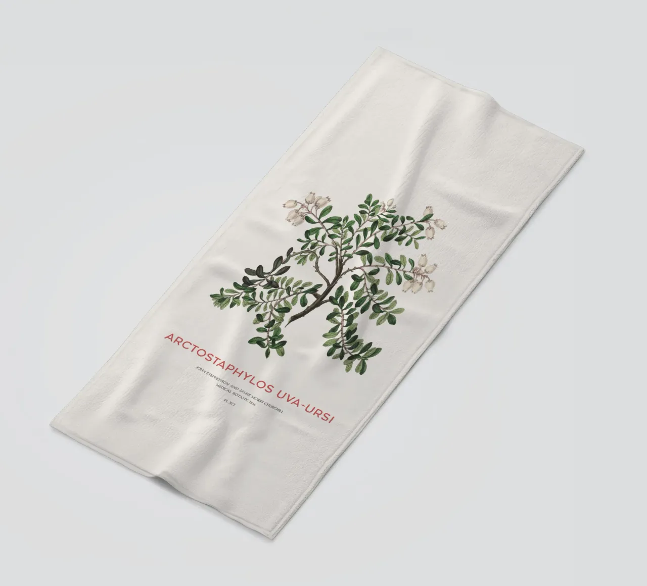 Bearberry or Arctostaphylos Uva-ursi beach towel by Vintagrafica