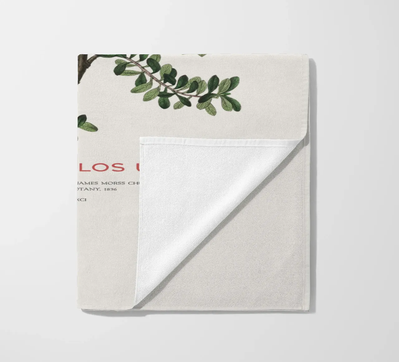 Bearberry or Arctostaphylos Uva-ursi beach towel by Vintagrafica