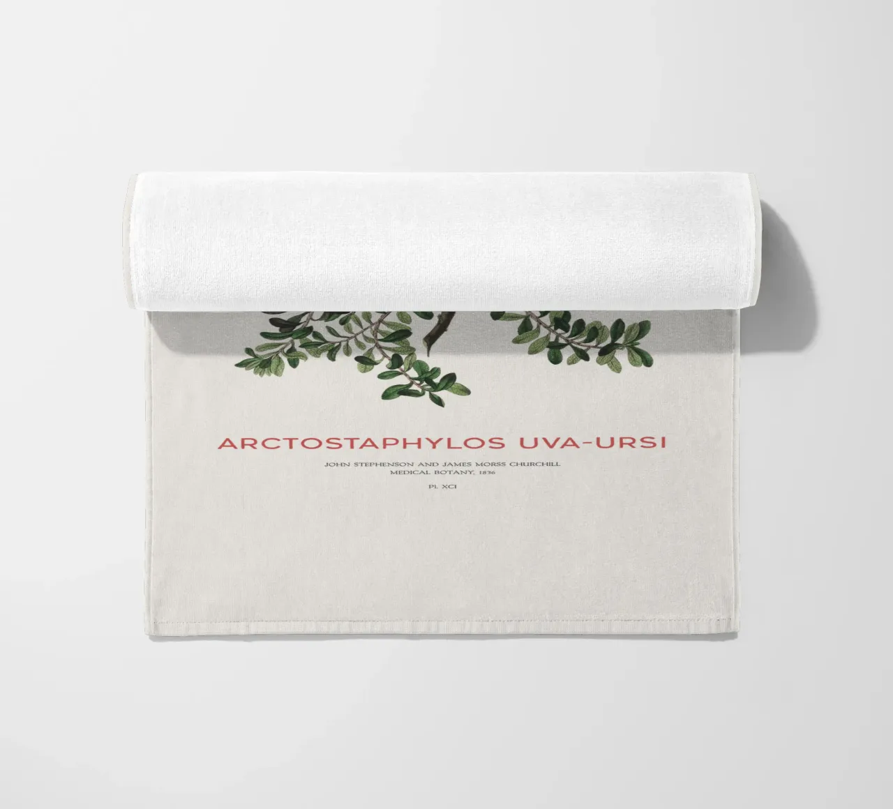 Bearberry or Arctostaphylos Uva-ursi beach towel by Vintagrafica
