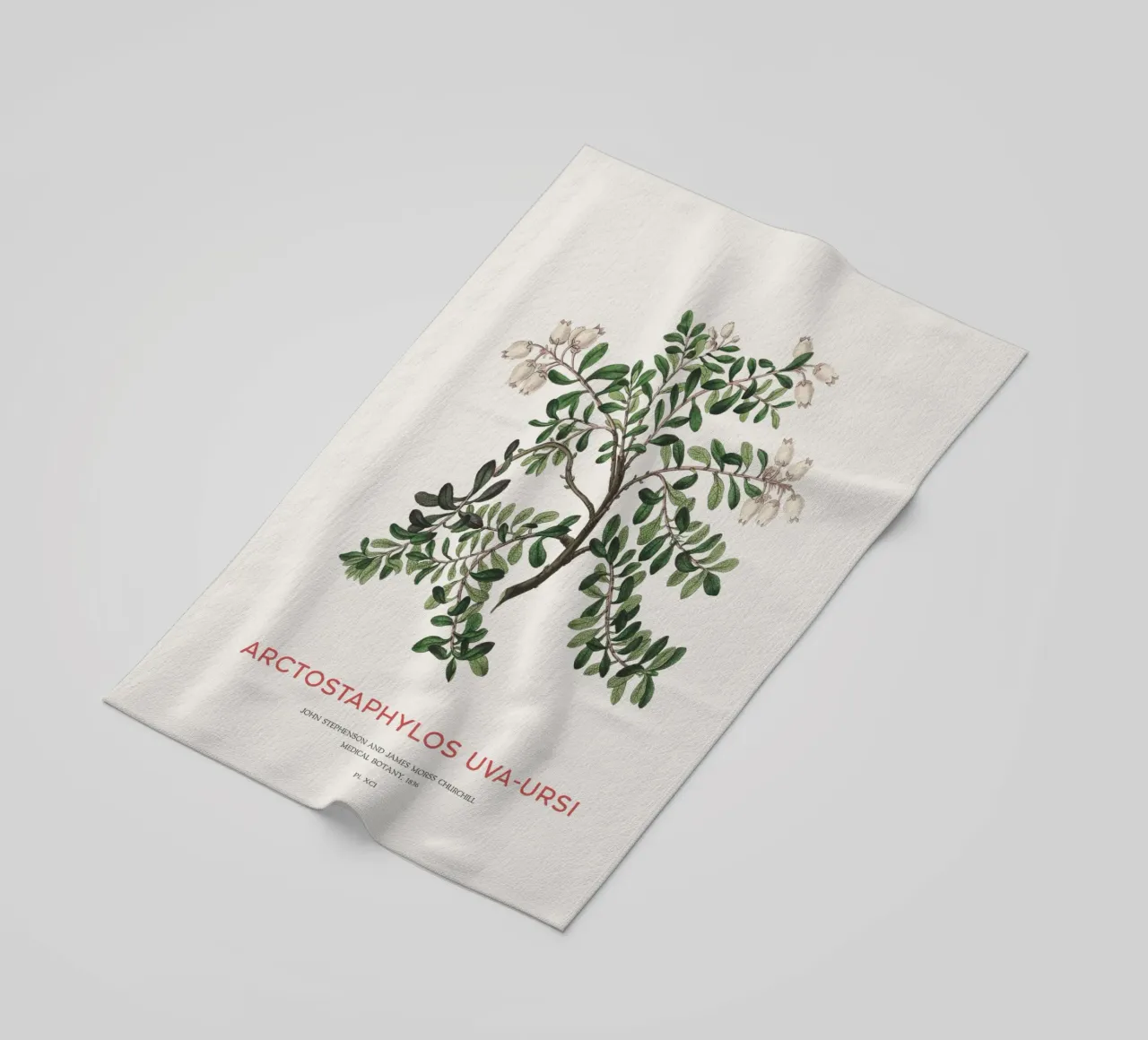 Bearberry or Arctostaphylos Uva-ursi beach towel by Vintagrafica