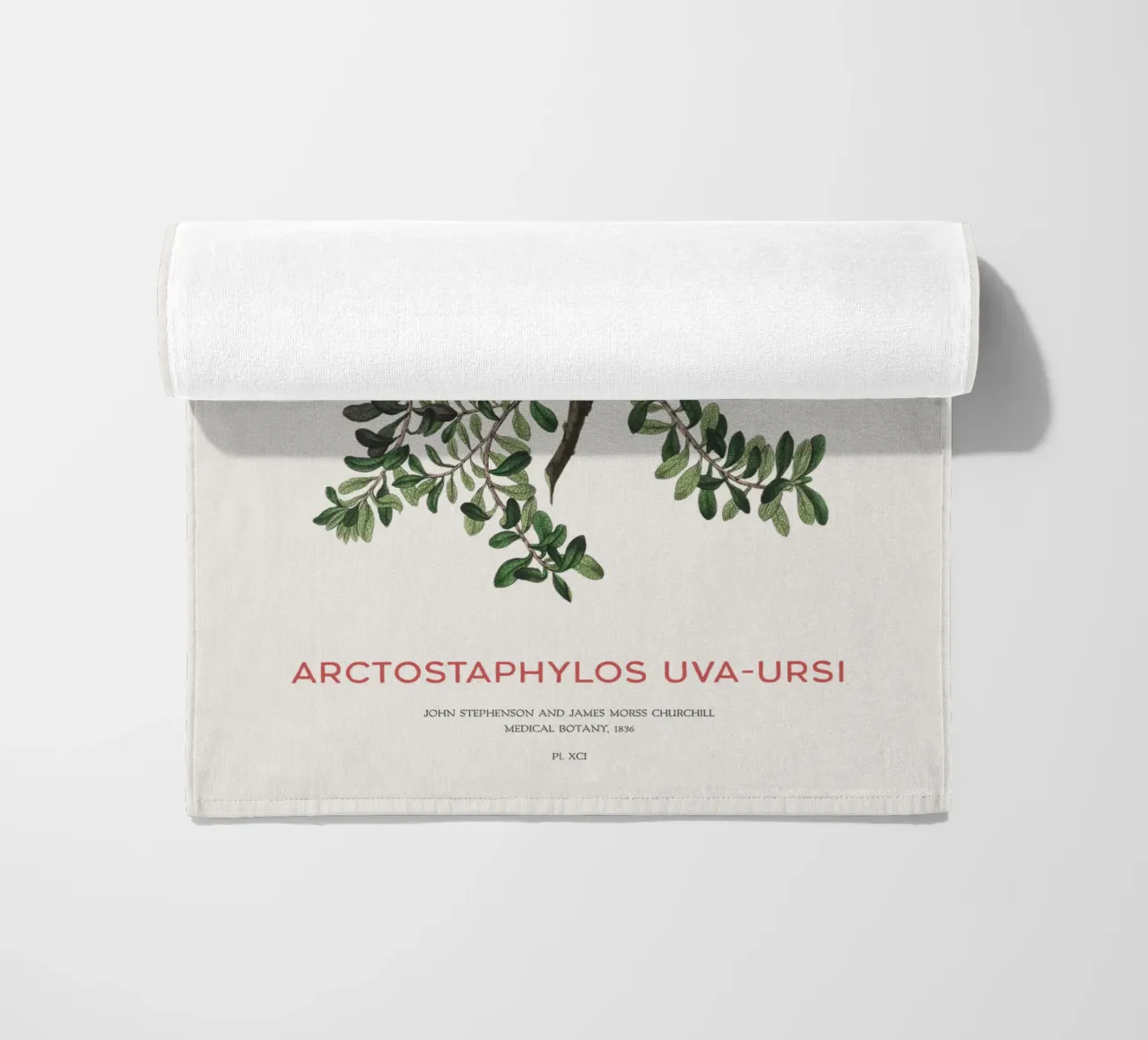 Bearberry or Arctostaphylos Uva-ursi beach towel by Vintagrafica