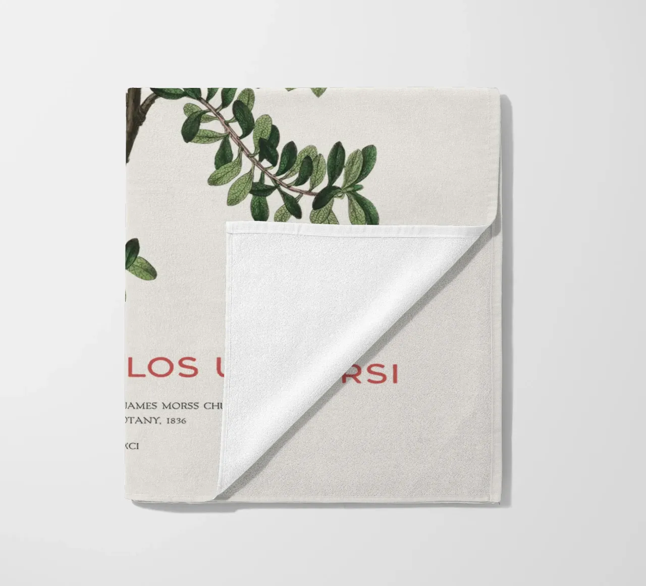 Bearberry or Arctostaphylos Uva-ursi beach towel by Vintagrafica