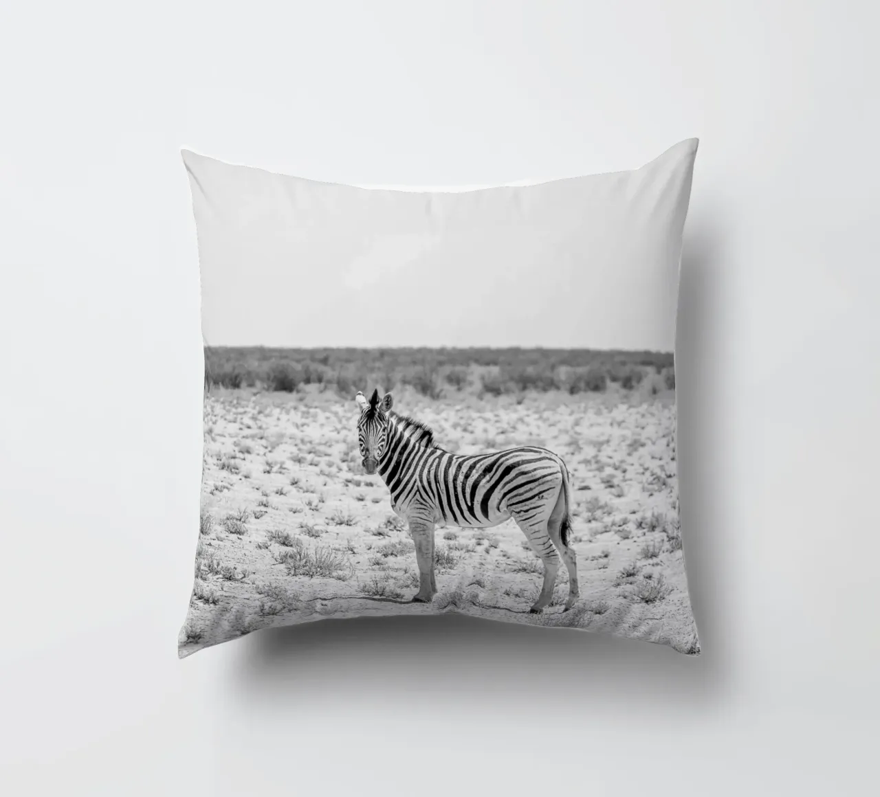 Zebra in der Wüste cuscino da Südwärts