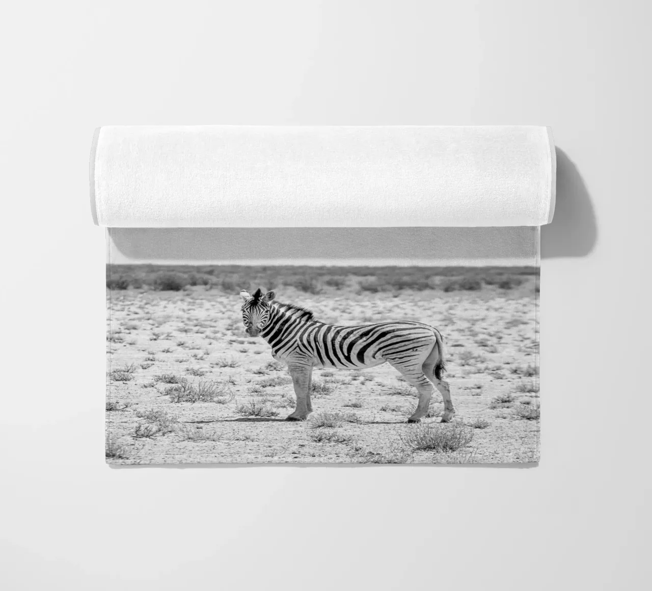 Zebra in der Wüste telo mare da Südwärts