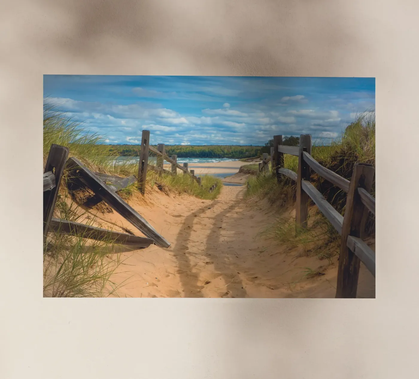 Beach Path backlit film by Dave Hare Photography