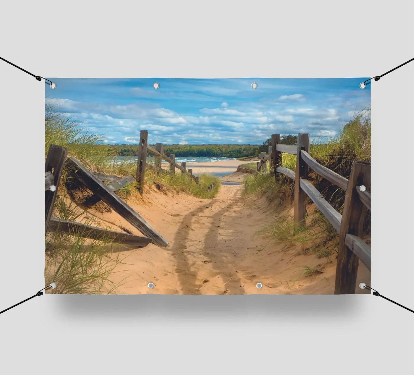 Beach Path PVC Plane von Dave Hare Photography