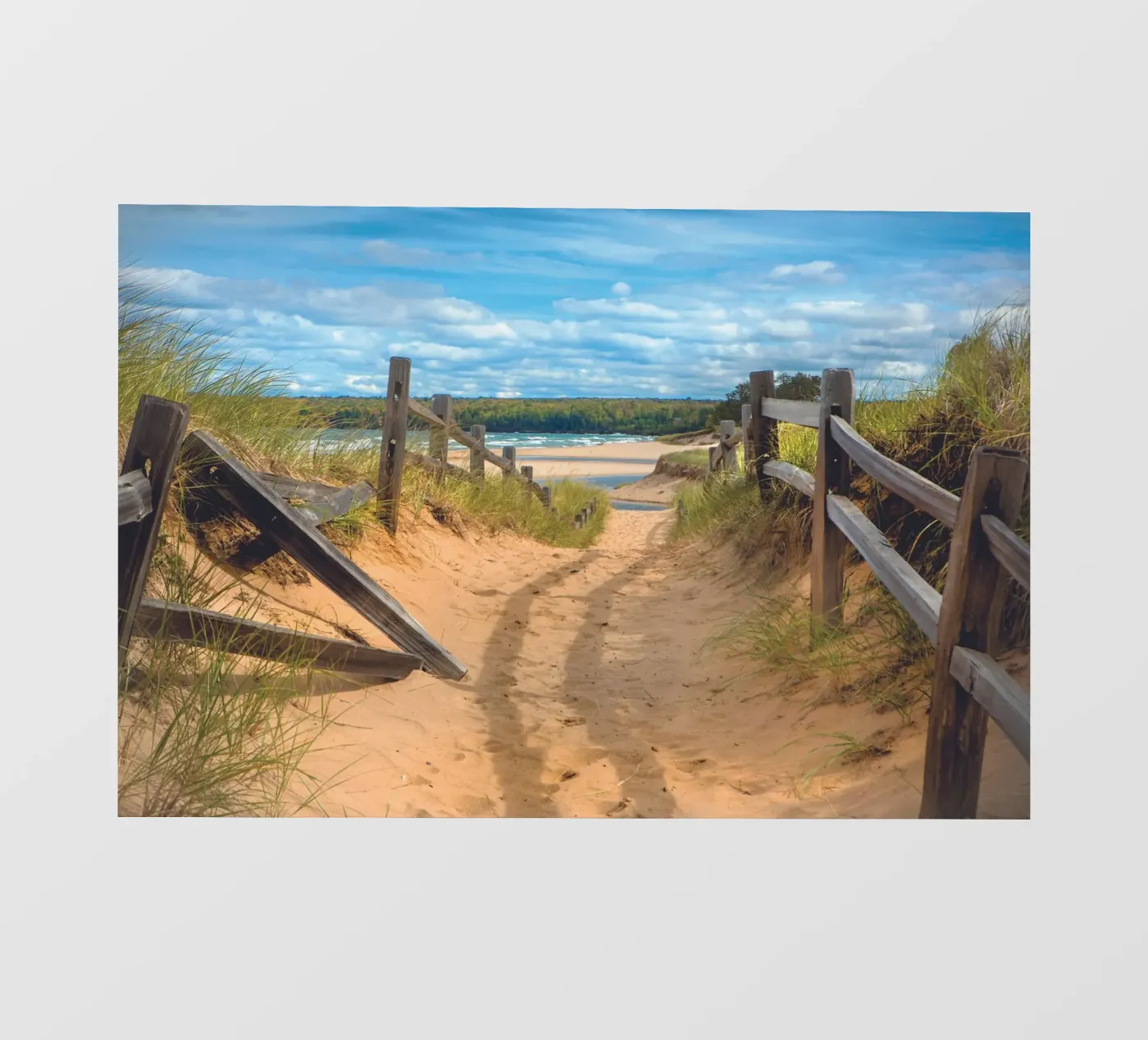 Beach Path PVC Plane von Dave Hare Photography