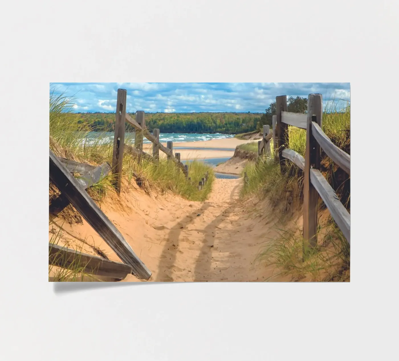 Beach Path sticker sheet by Dave Hare Photography