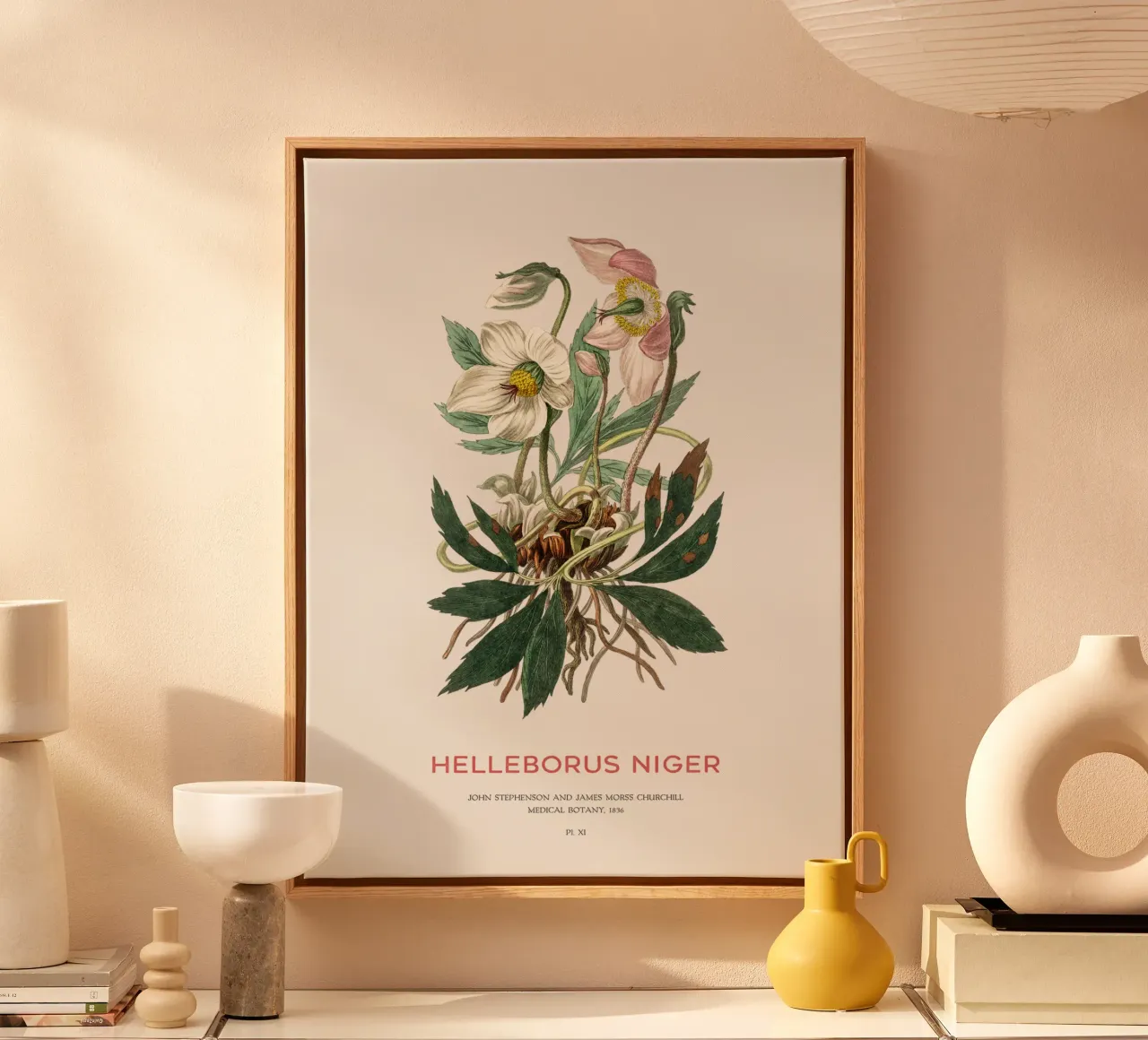 Kerstroos of zwarte nieskruid canvas met Baklijst van Vintagrafica