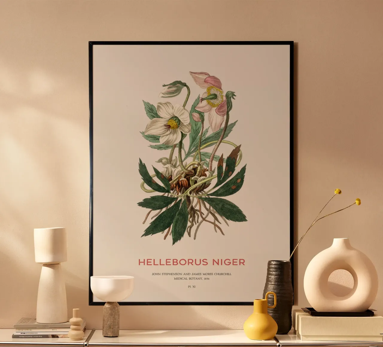 Christmas rose or Black hellebore hahnemühle by Vintagrafica