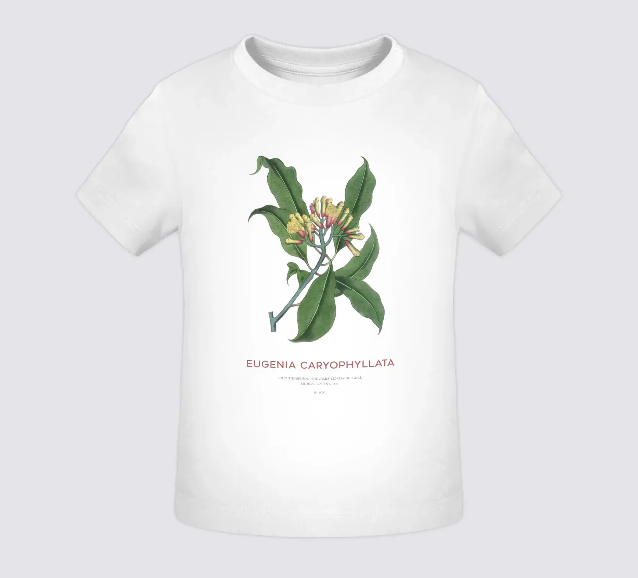 Cloves or Eugenia caryophyllata baby t-shirt by Vintagrafica