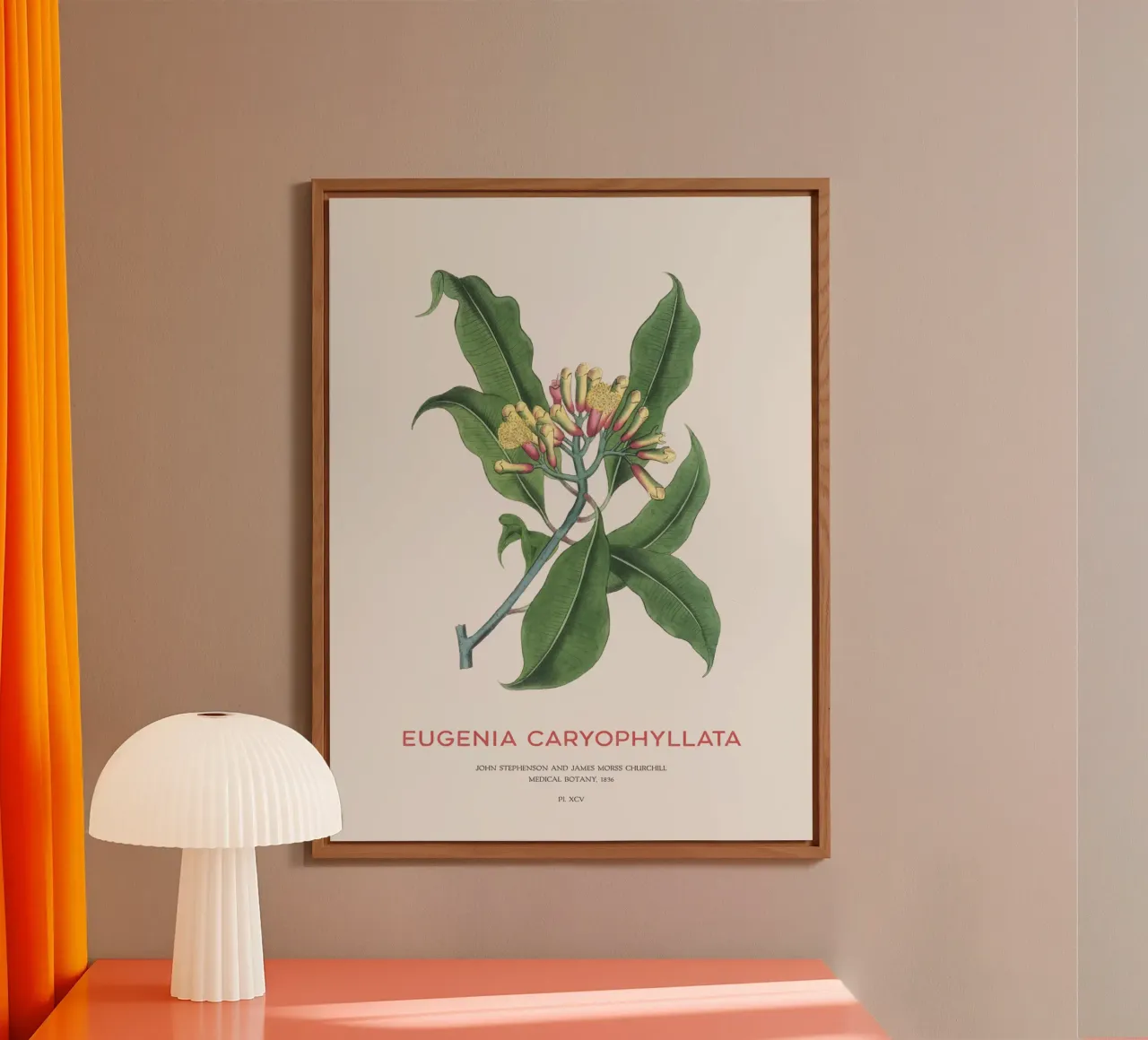 Gewürznelken oder Eugenia caryophyllata Alu-Dibond von Vintagrafica