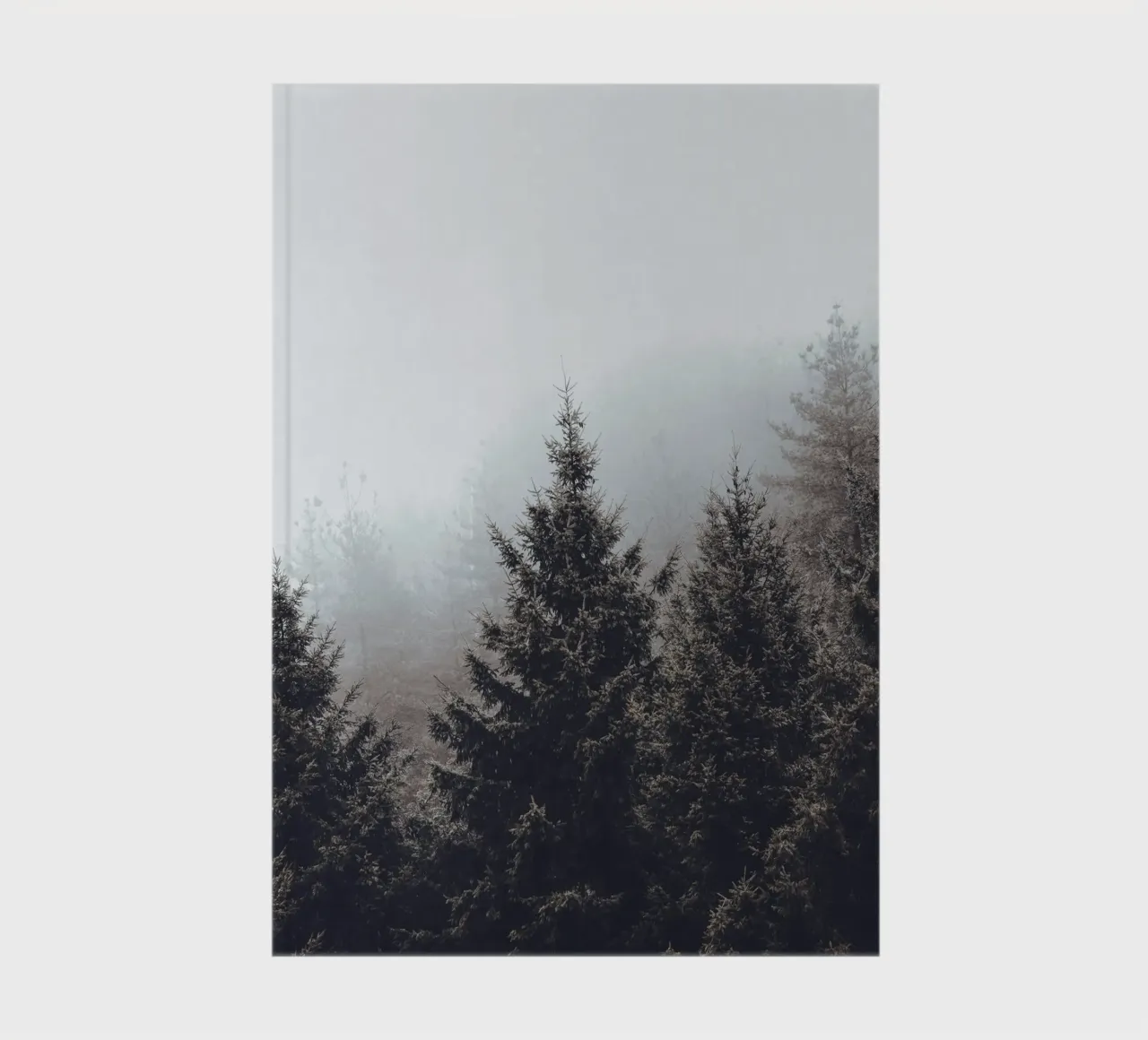 Forêt nuageuse - Un décor naturel mystique carnet de notes de Whole©