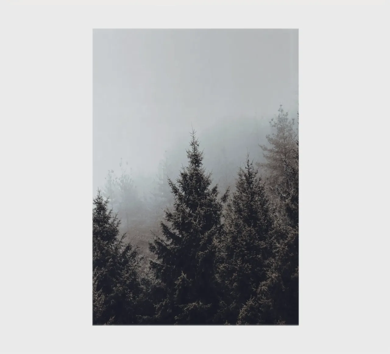 Forêt nuageuse - Un décor naturel mystique carnet de notes de Whole©