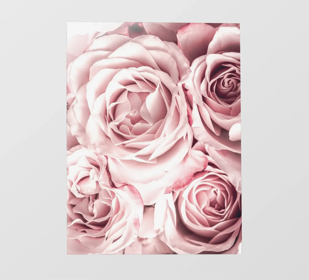 Rose romantiche - Delicato design floreale carta da parati fotografica da Whole©