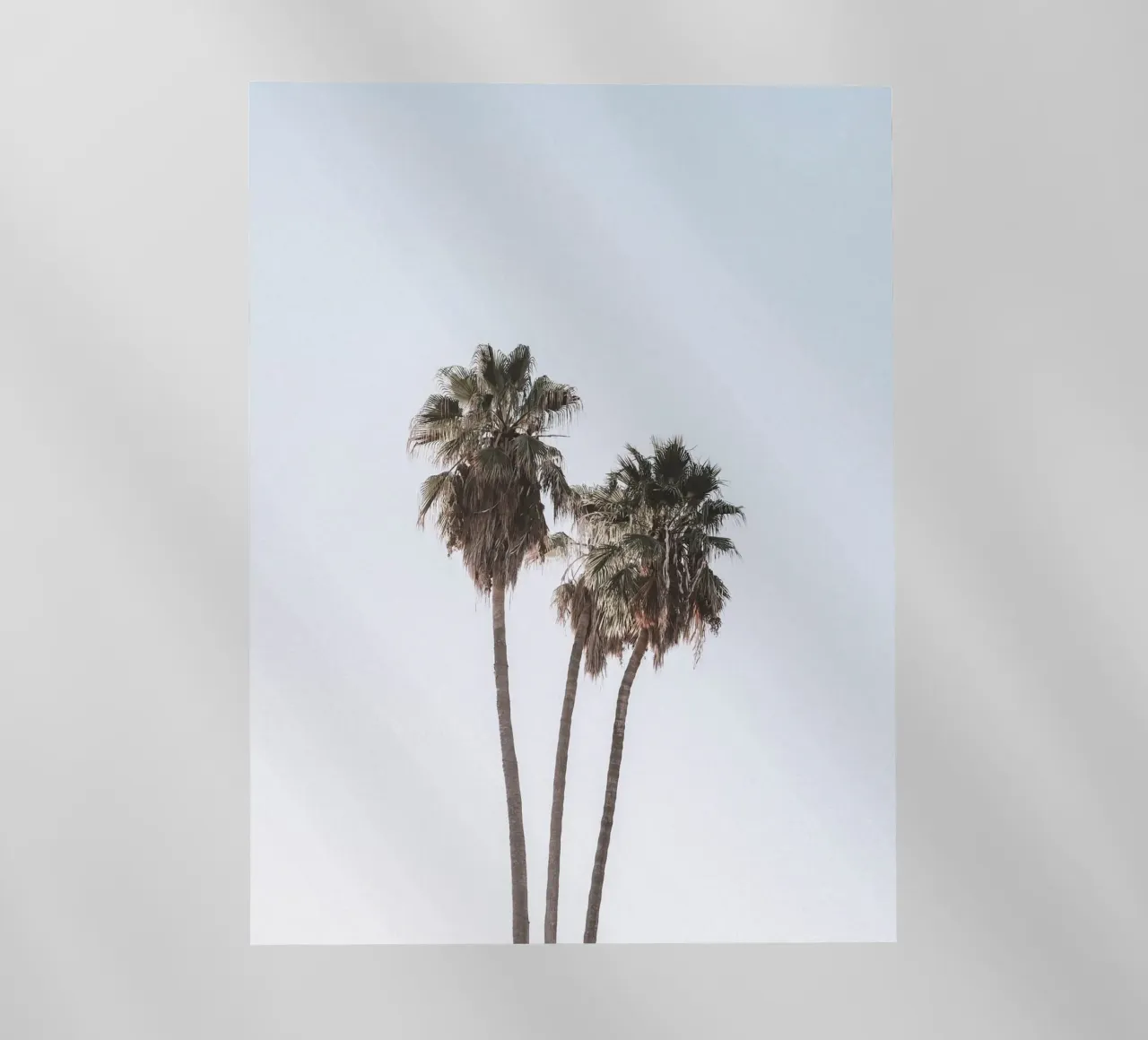Minimalist palm trees - tropical summer design backlit film by Whole©