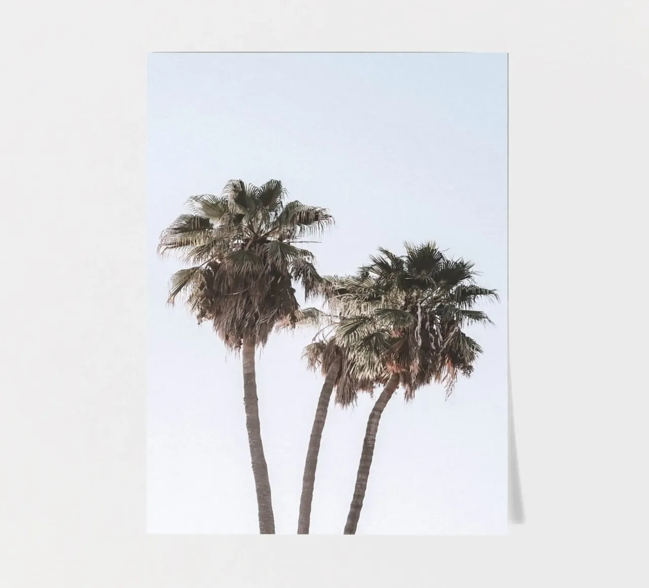 Minimalist palm trees - tropical summer design sticker sheet by Whole©
