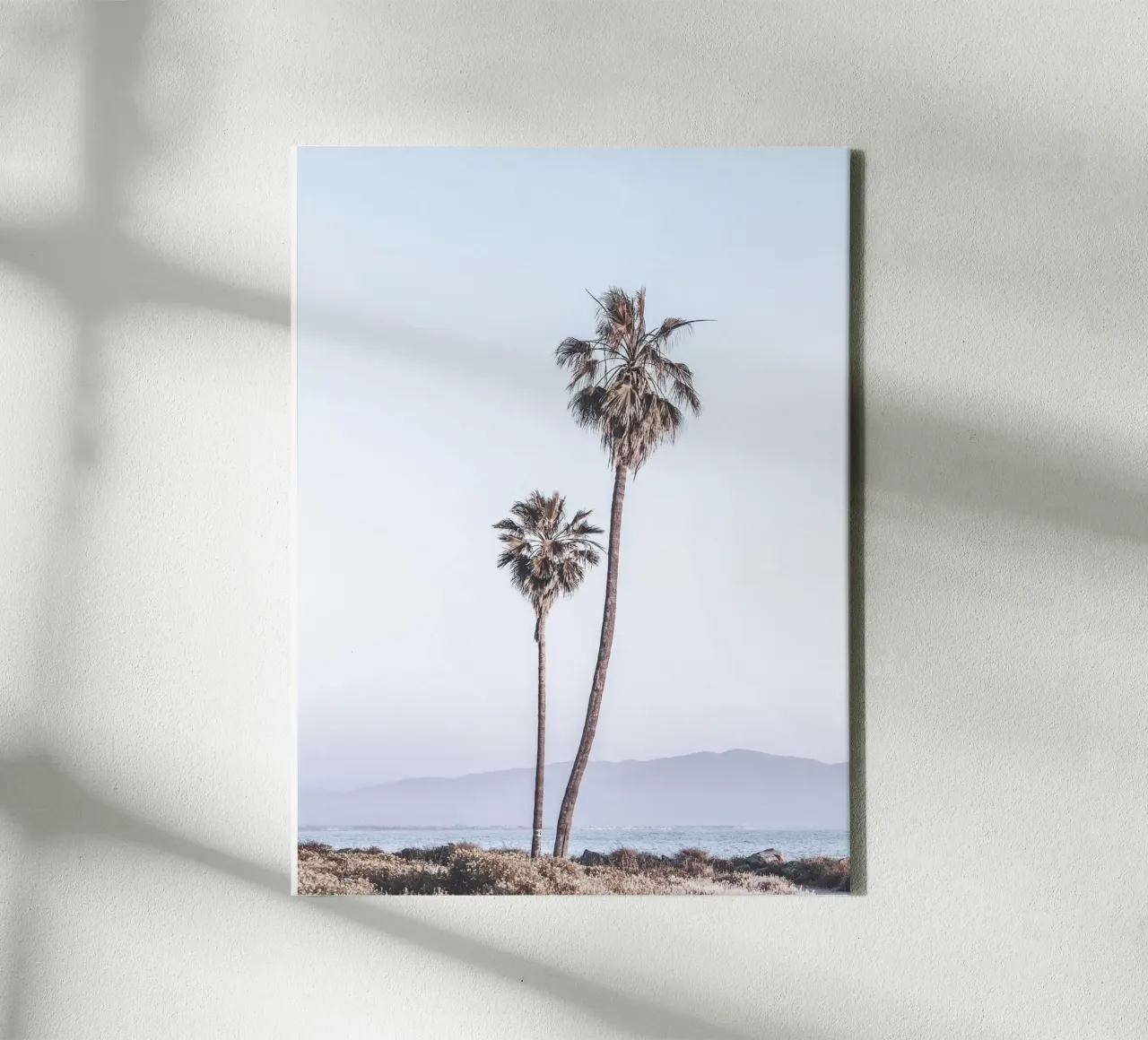 Palm trees and coast - Tropical nature motif canvas with Floater frame by Whole©
