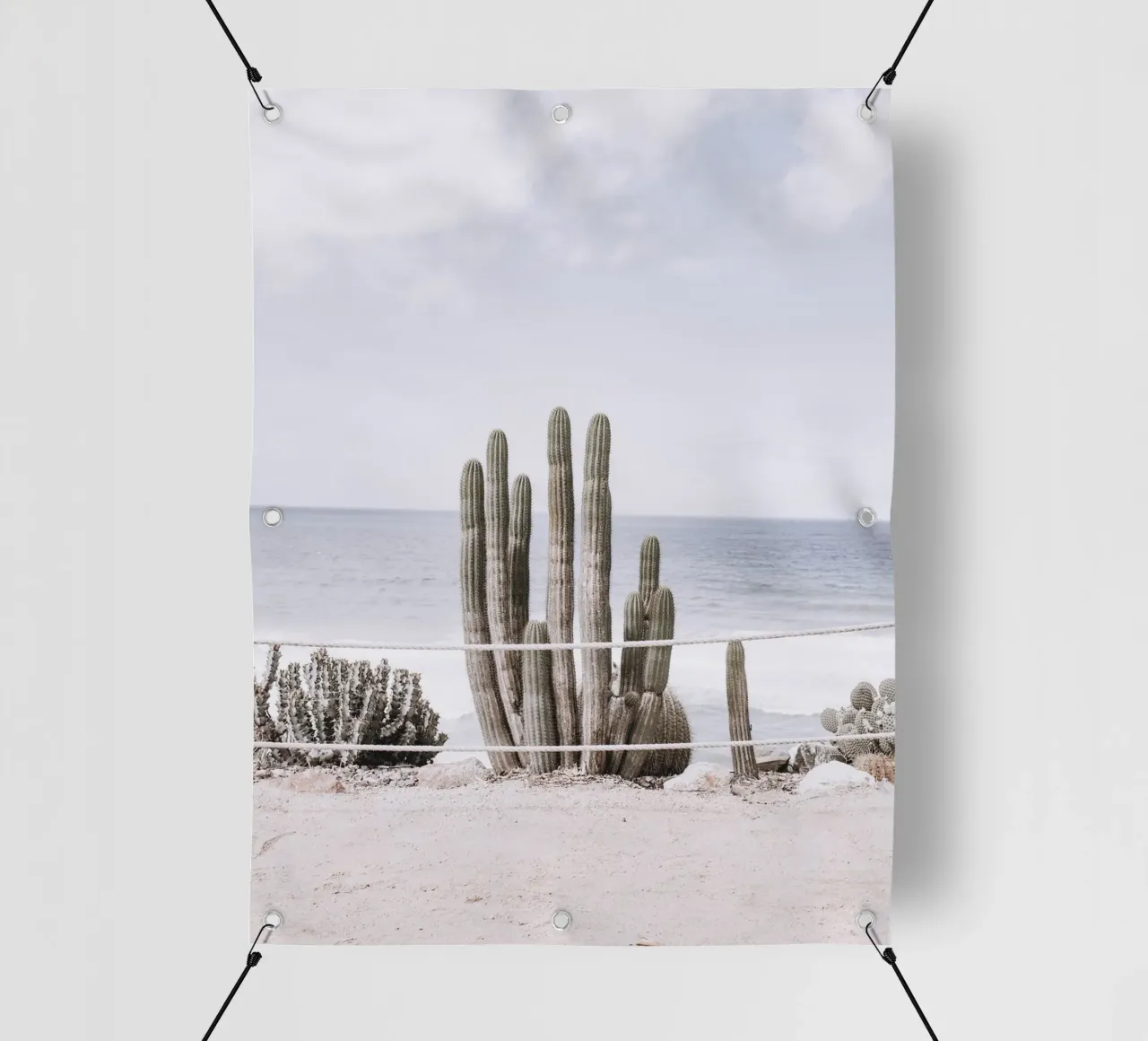 Cactus in riva al mare: il design costiero a contatto con la natura telo in pvc da Whole©
