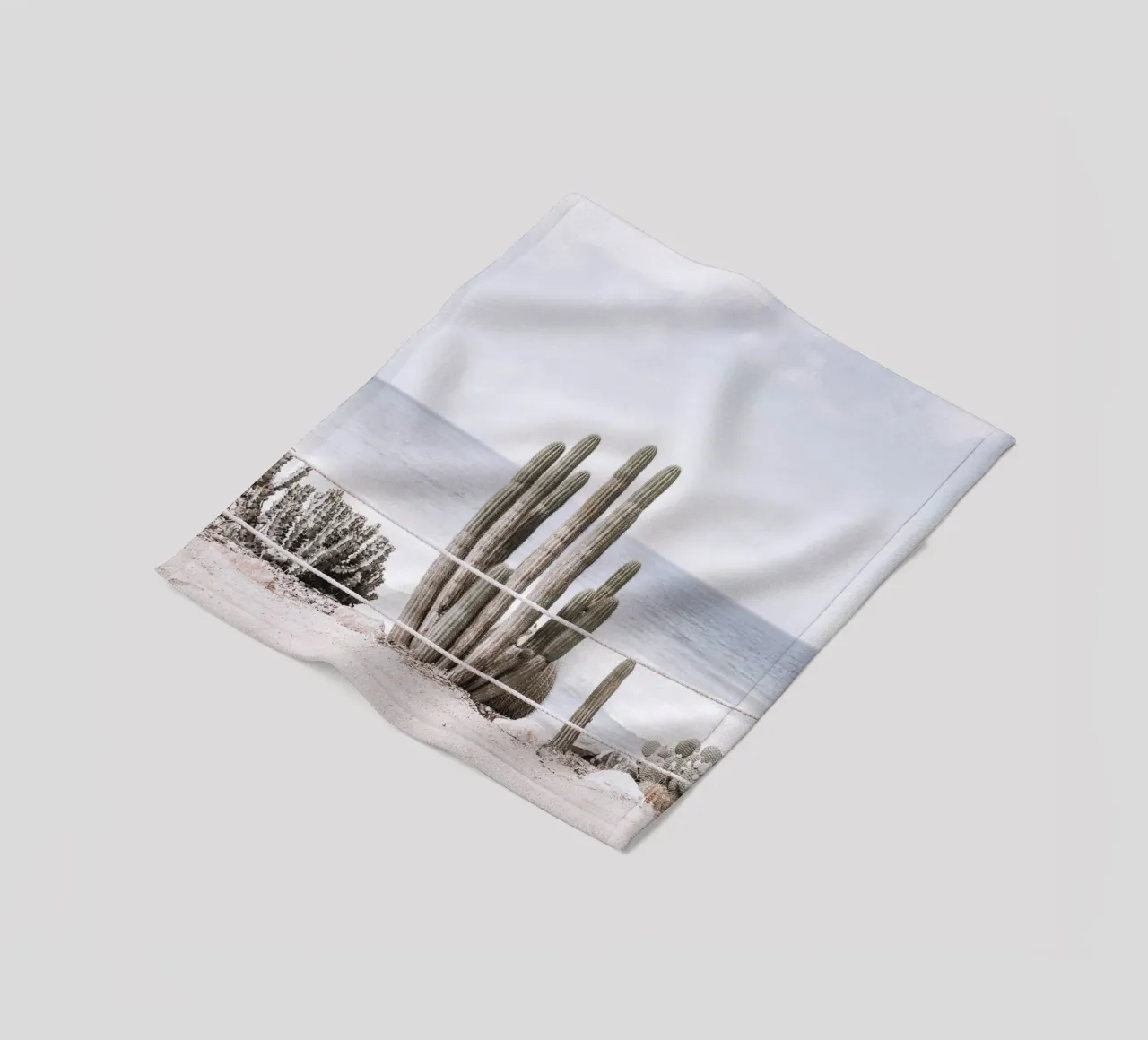 Cactus in riva al mare: il design costiero a contatto con la natura coperta in pile da Whole©