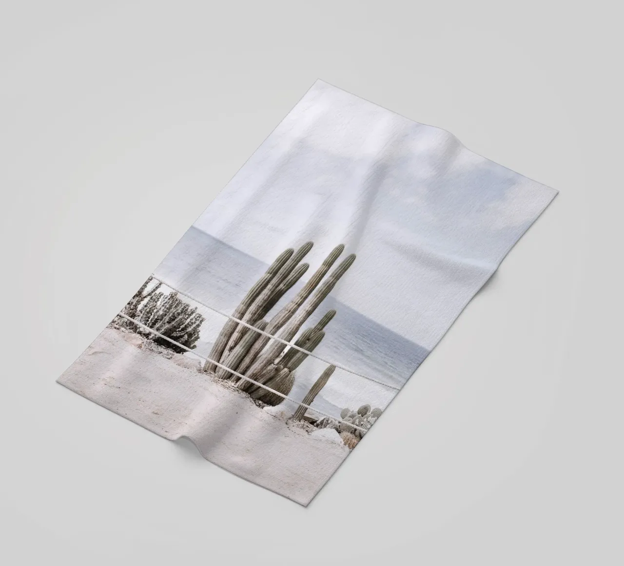 Cactus in riva al mare: il design costiero a contatto con la natura telo mare da Whole©