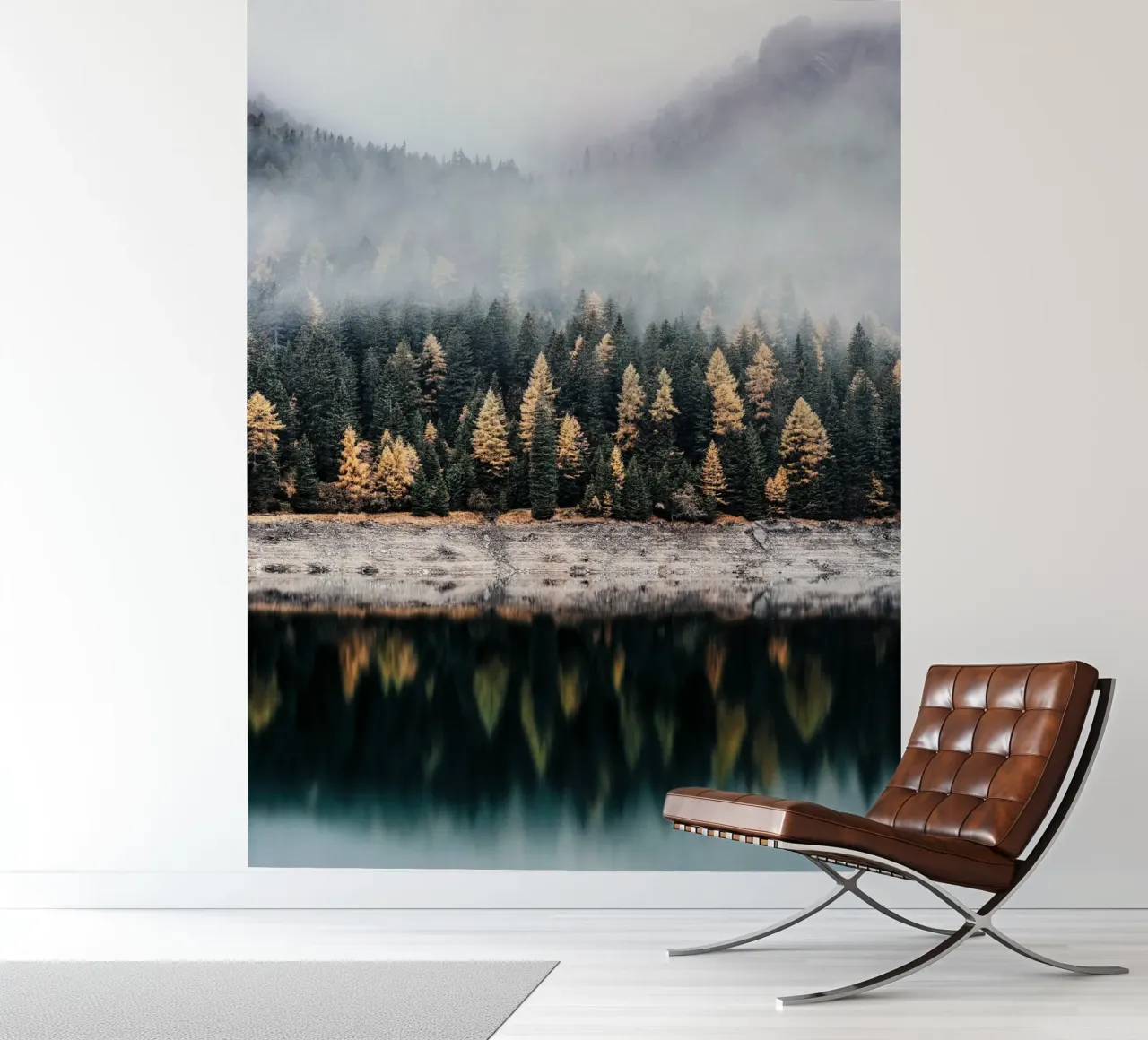 Nebelwald im Herbst – Mystische Natur Fototapete von Whole©