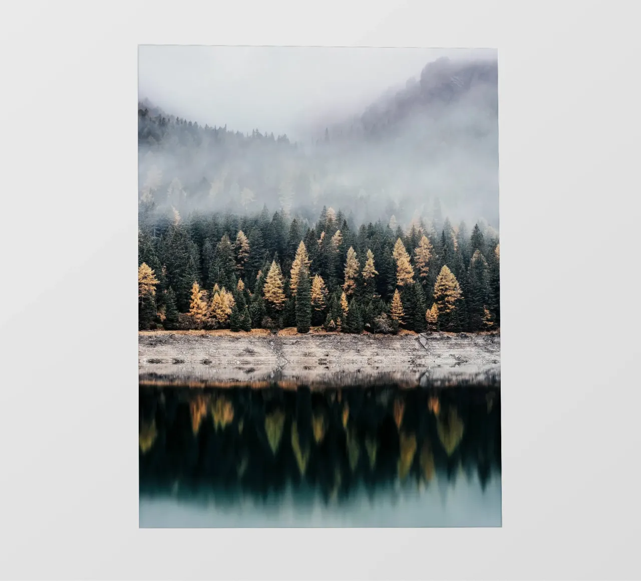 Nebelwald im Herbst – Mystische Natur Fototapete von Whole©
