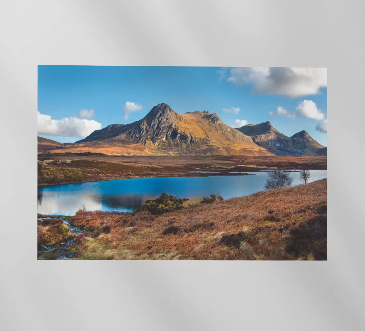 Ben Loyal pellicola backlit da Dave Hare Photography