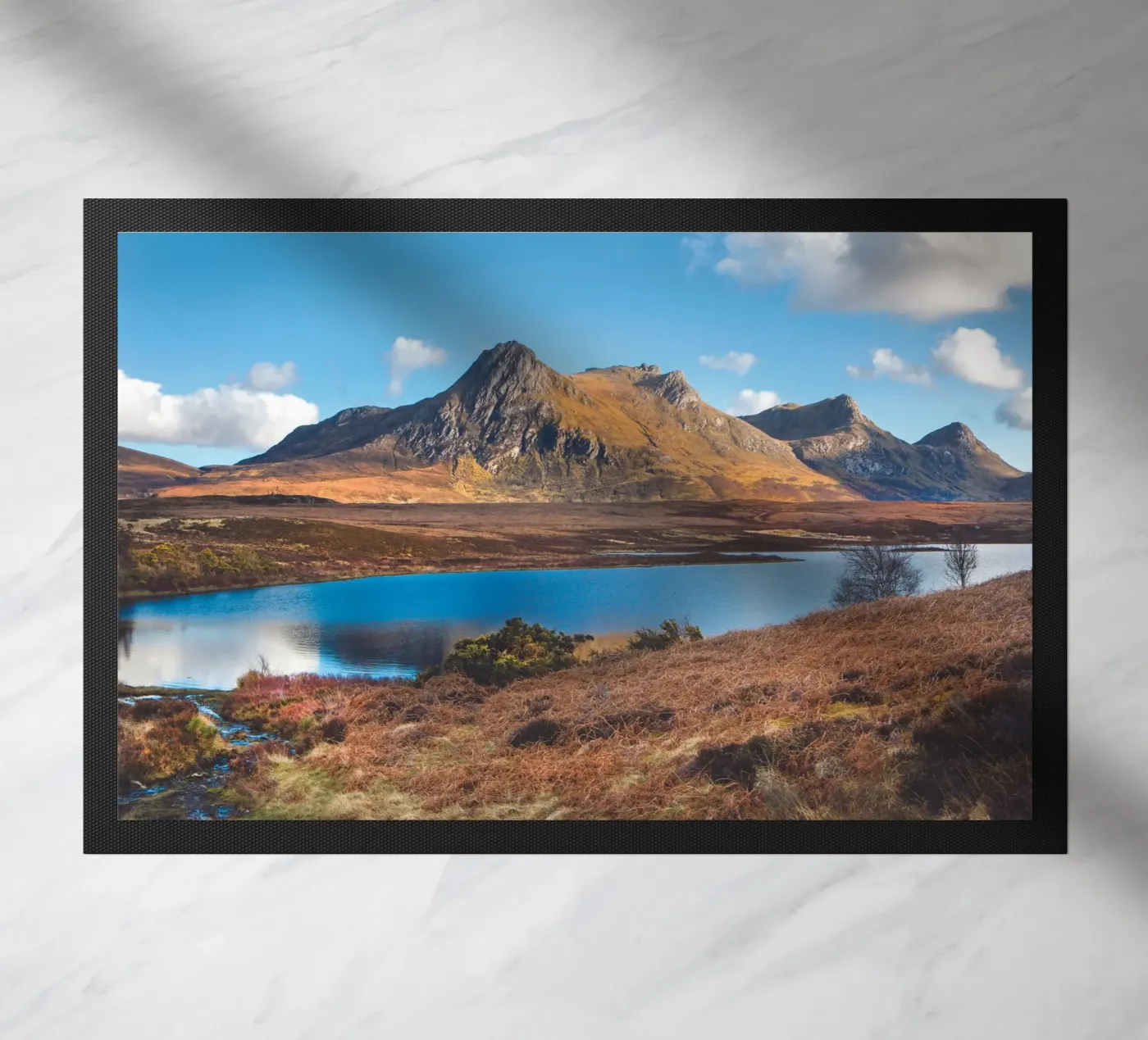 Ben Loyal zerbino da Dave Hare Photography