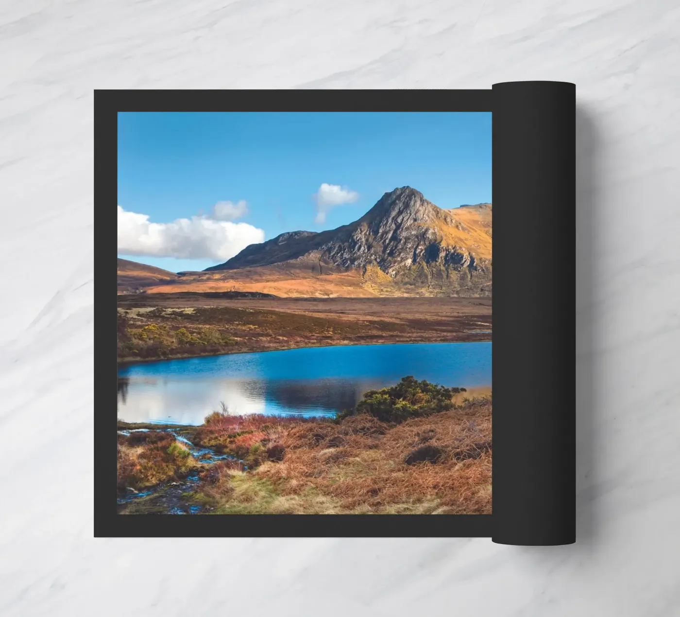 Ben Loyal zerbino da Dave Hare Photography