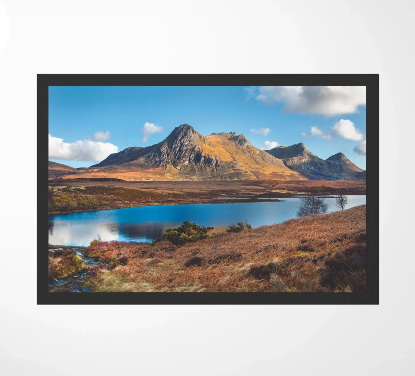 Ben Loyal zerbino da Dave Hare Photography