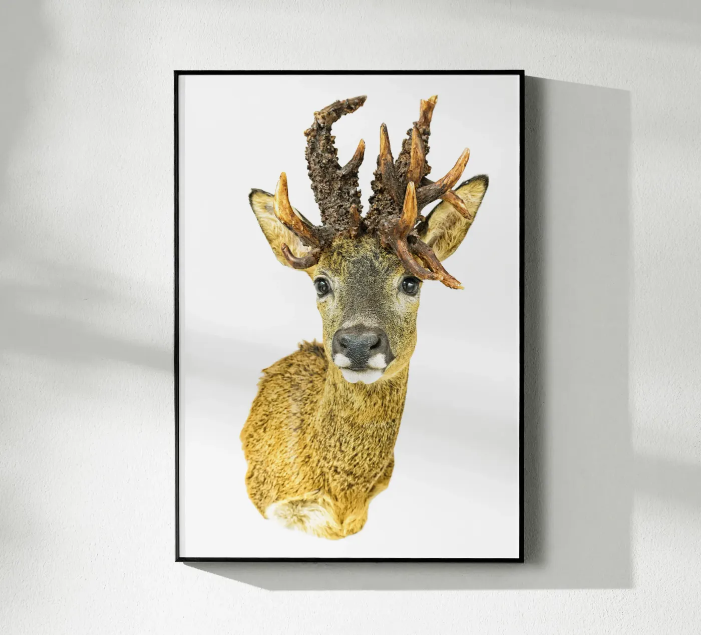 Cervo maestoso plexiglass da Curious Collections by Marielle Leenders