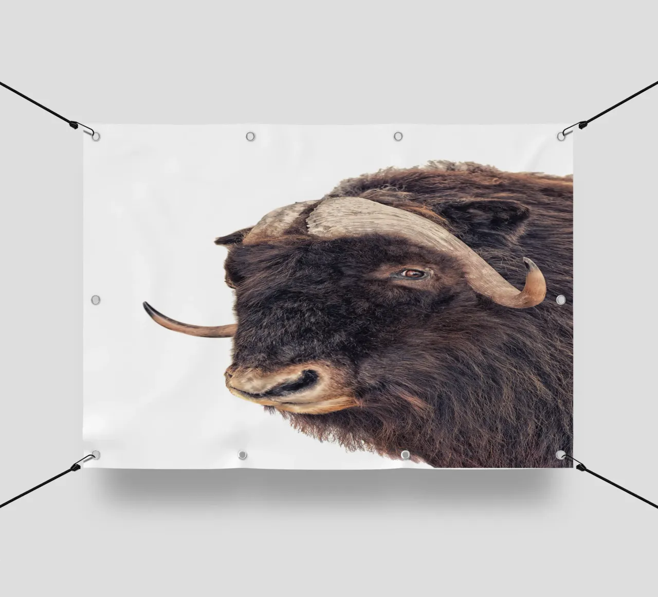 Bisonte telo in pvc da Curious Collections by Marielle Leenders