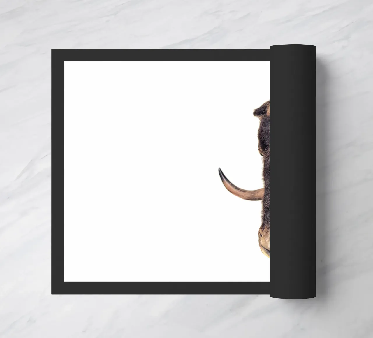 Bisonte zerbino da Curious Collections by Marielle Leenders