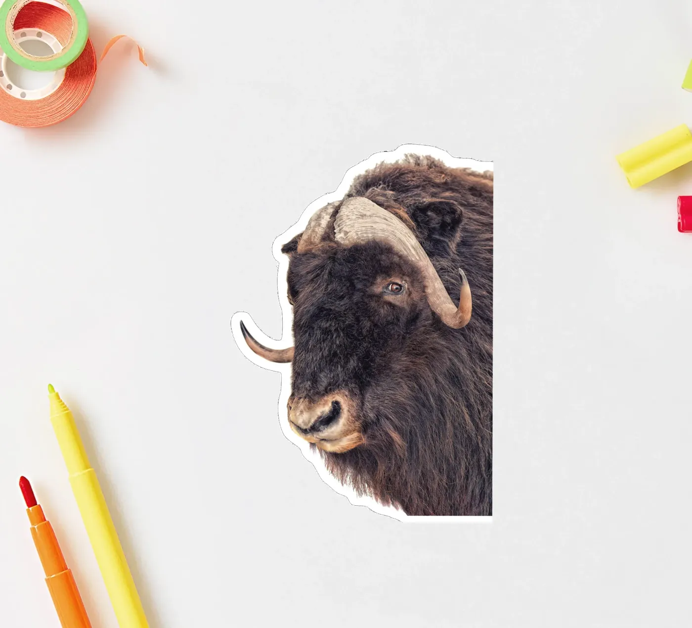 Bison sticker by Curious Collections by Marielle Leenders