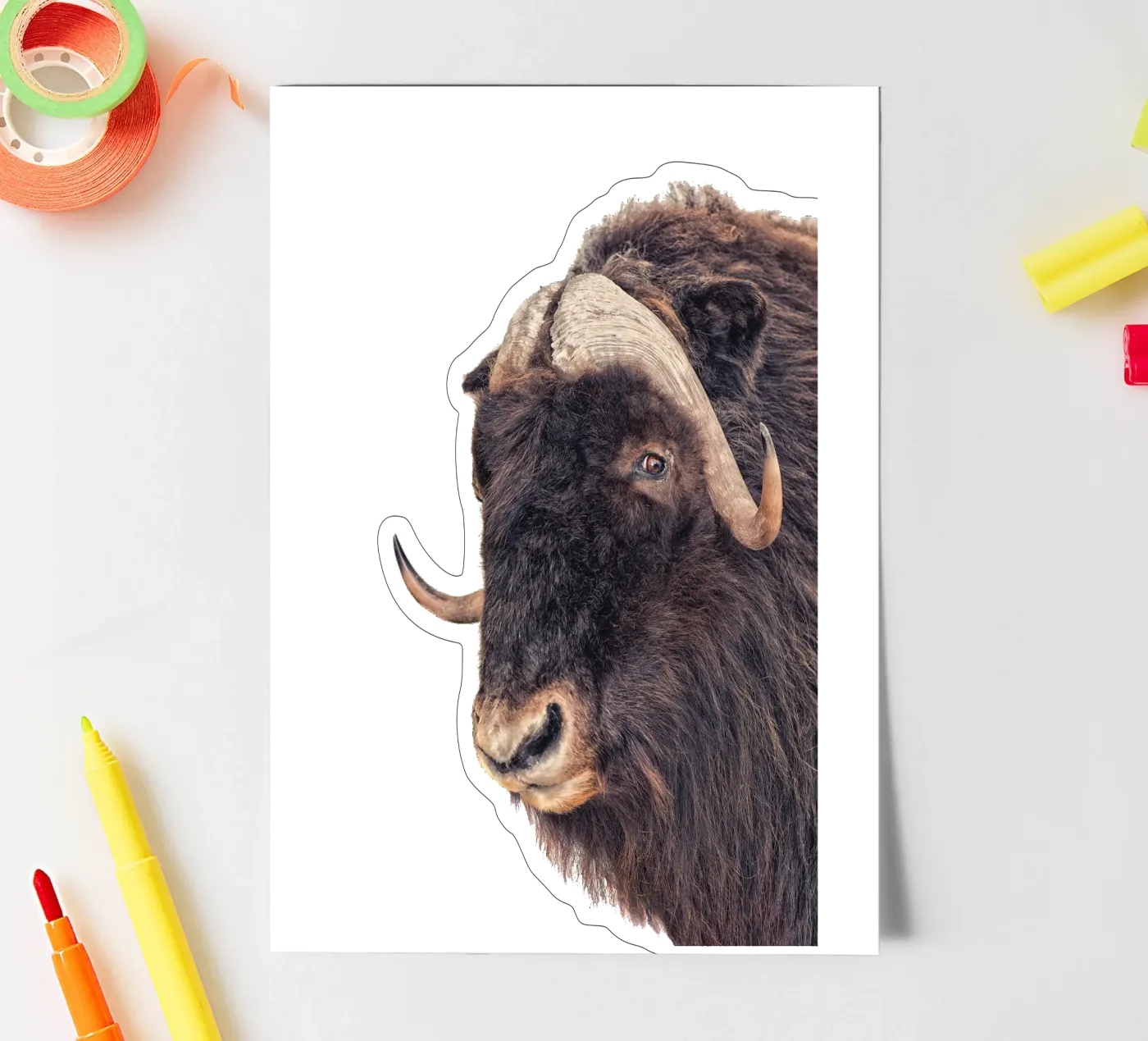 Bison sticker sheet by Curious Collections by Marielle Leenders