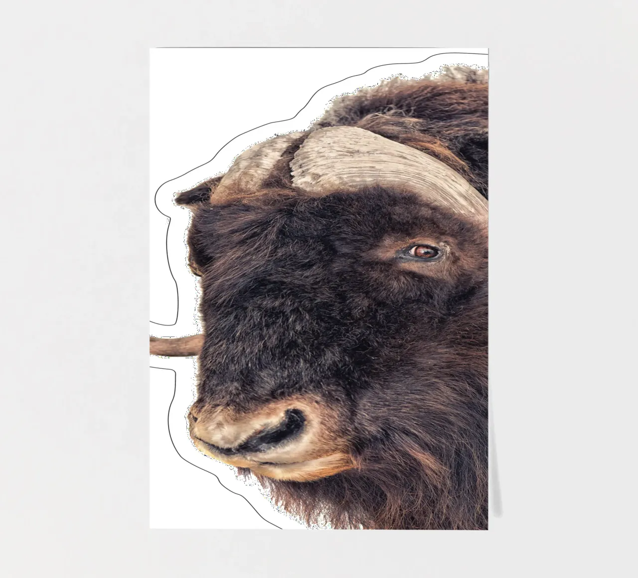 Bison sticker sheet by Curious Collections by Marielle Leenders