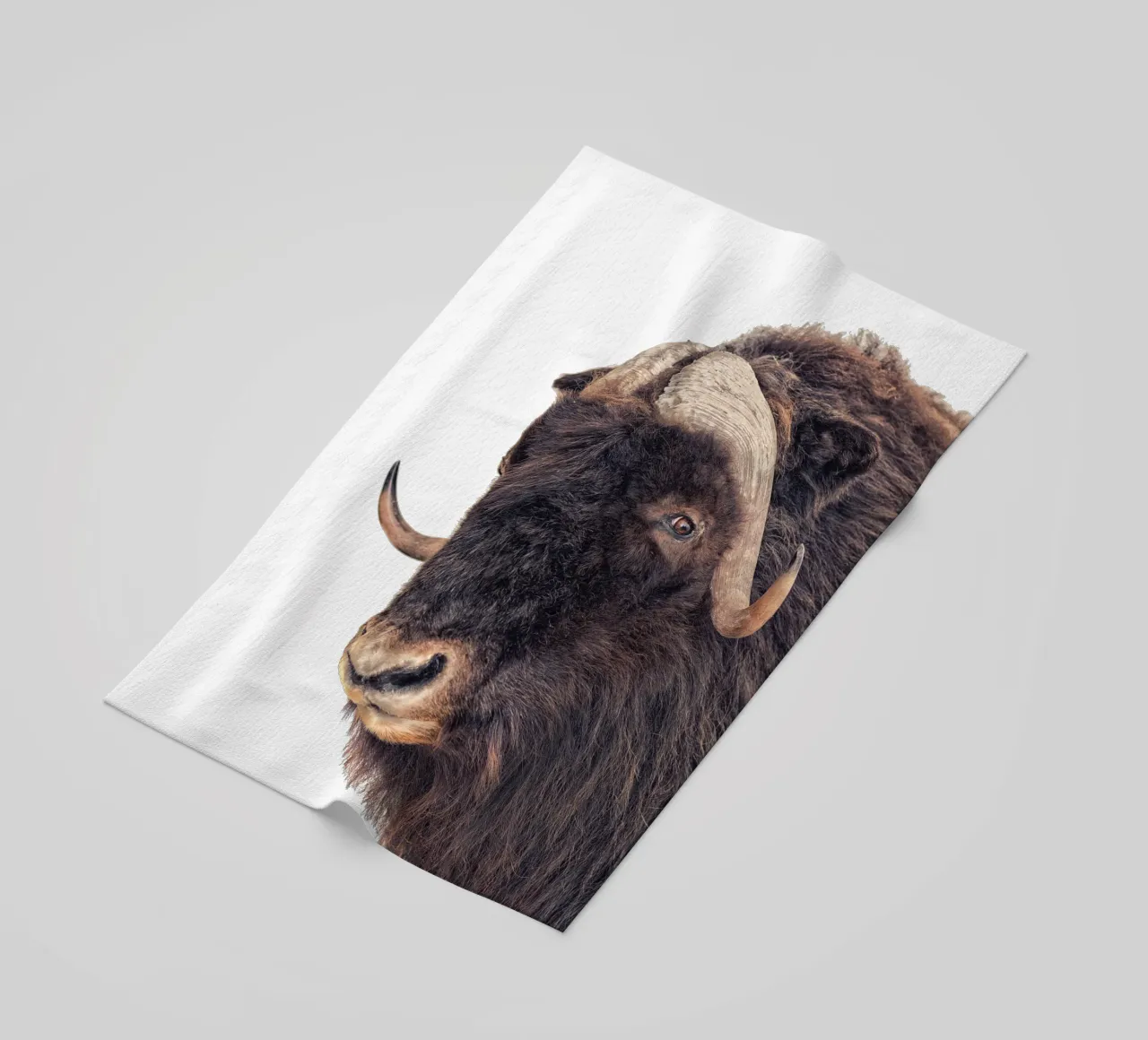 Bisonte telo mare da Curious Collections by Marielle Leenders