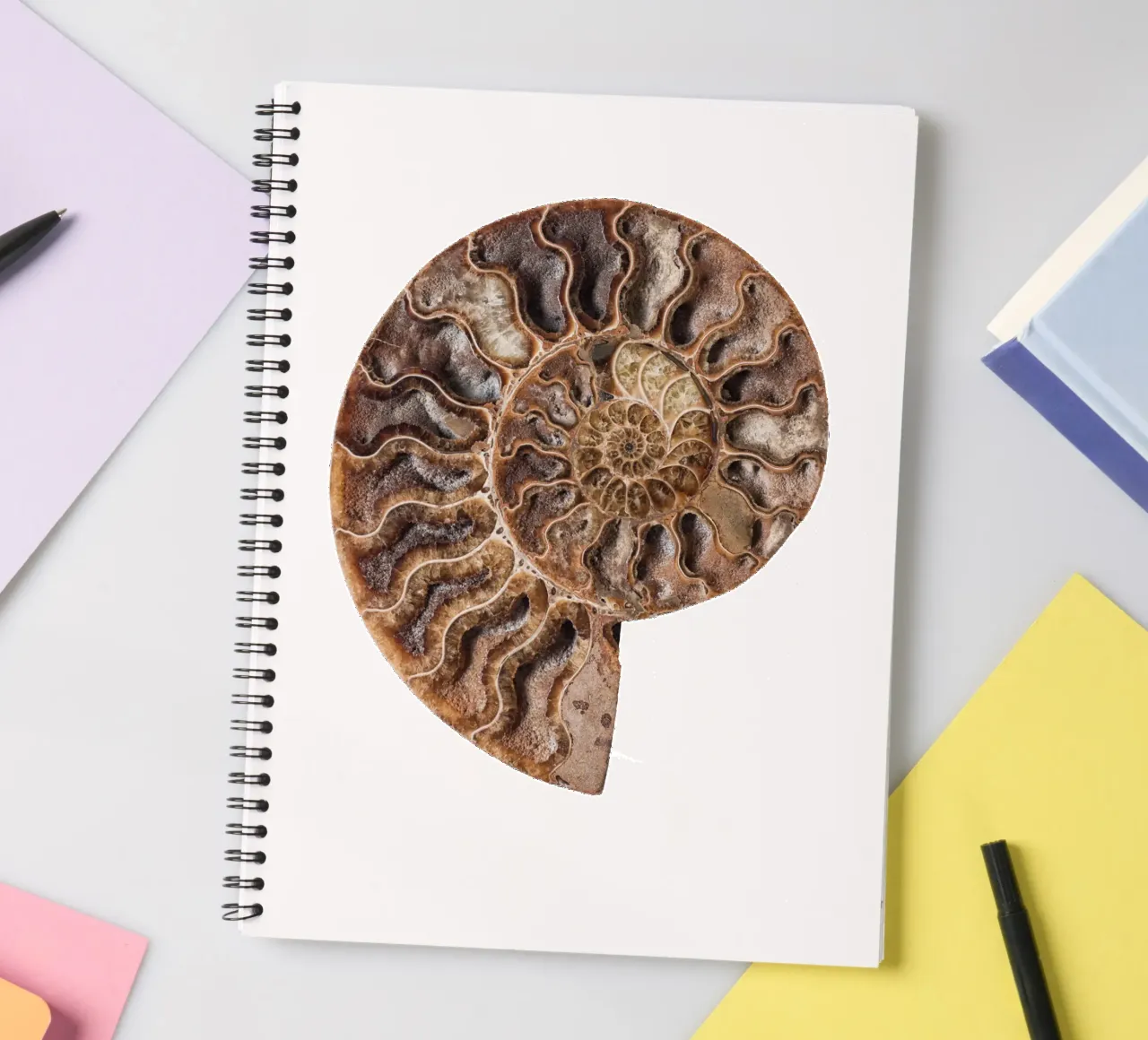Shell fossil ammonite spiral notebook by Curious Collections by Marielle Leenders