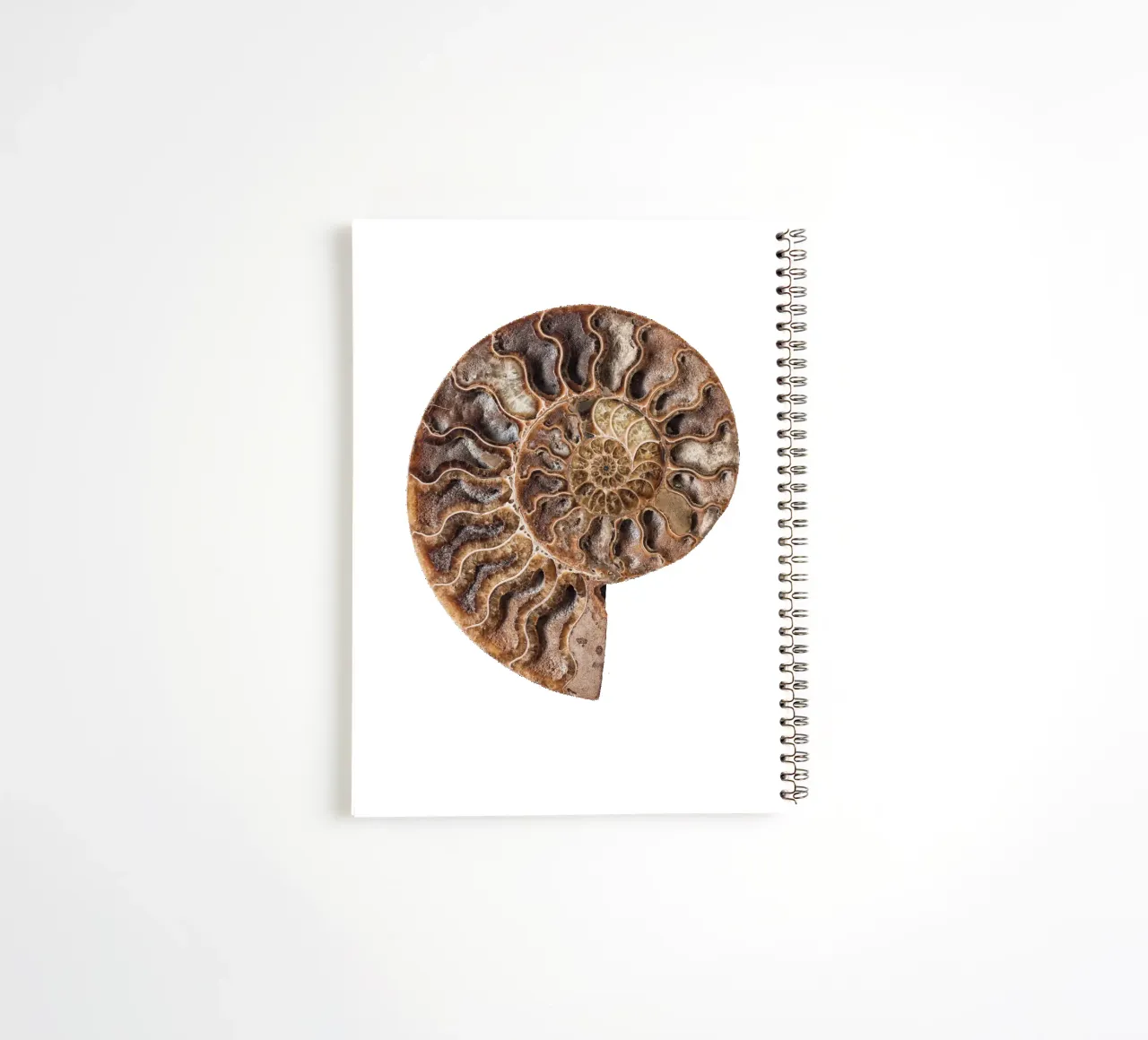 Shell fossil ammonite spiral notebook by Curious Collections by Marielle Leenders